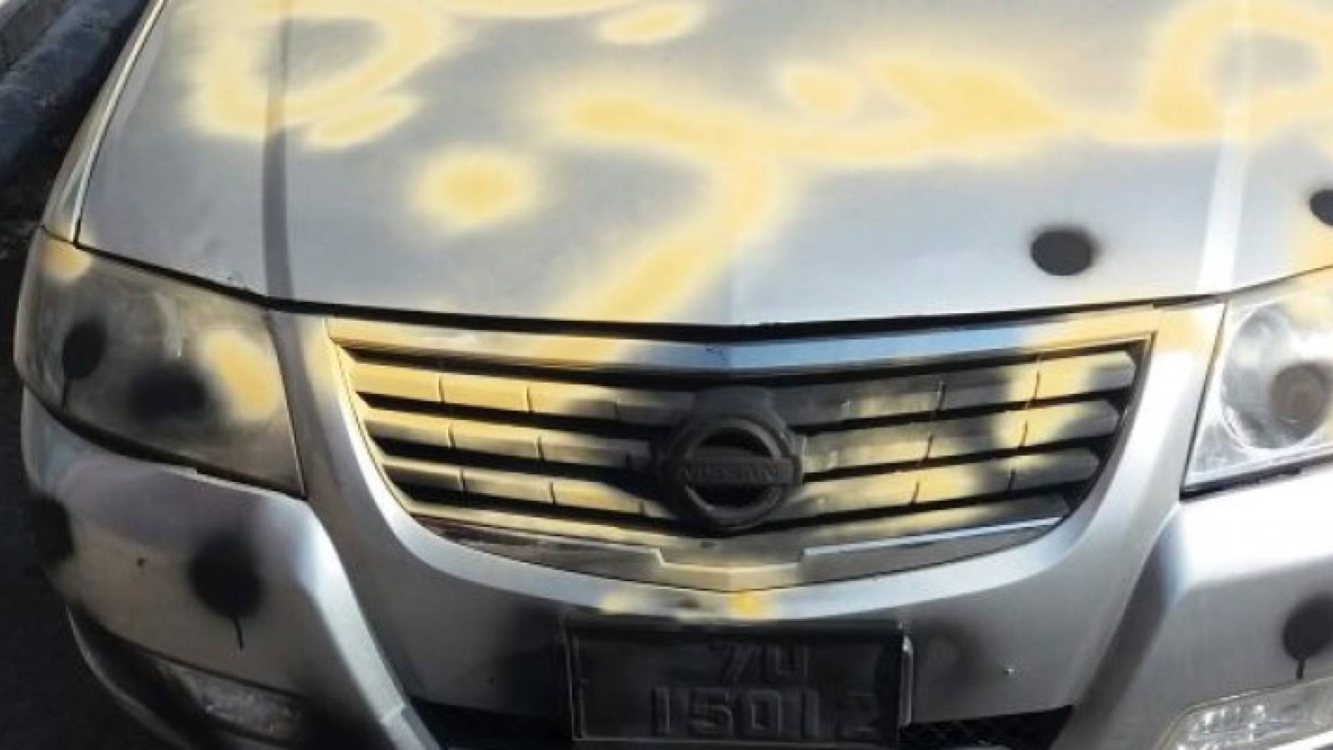 صورة المركبة التي تم حجزها