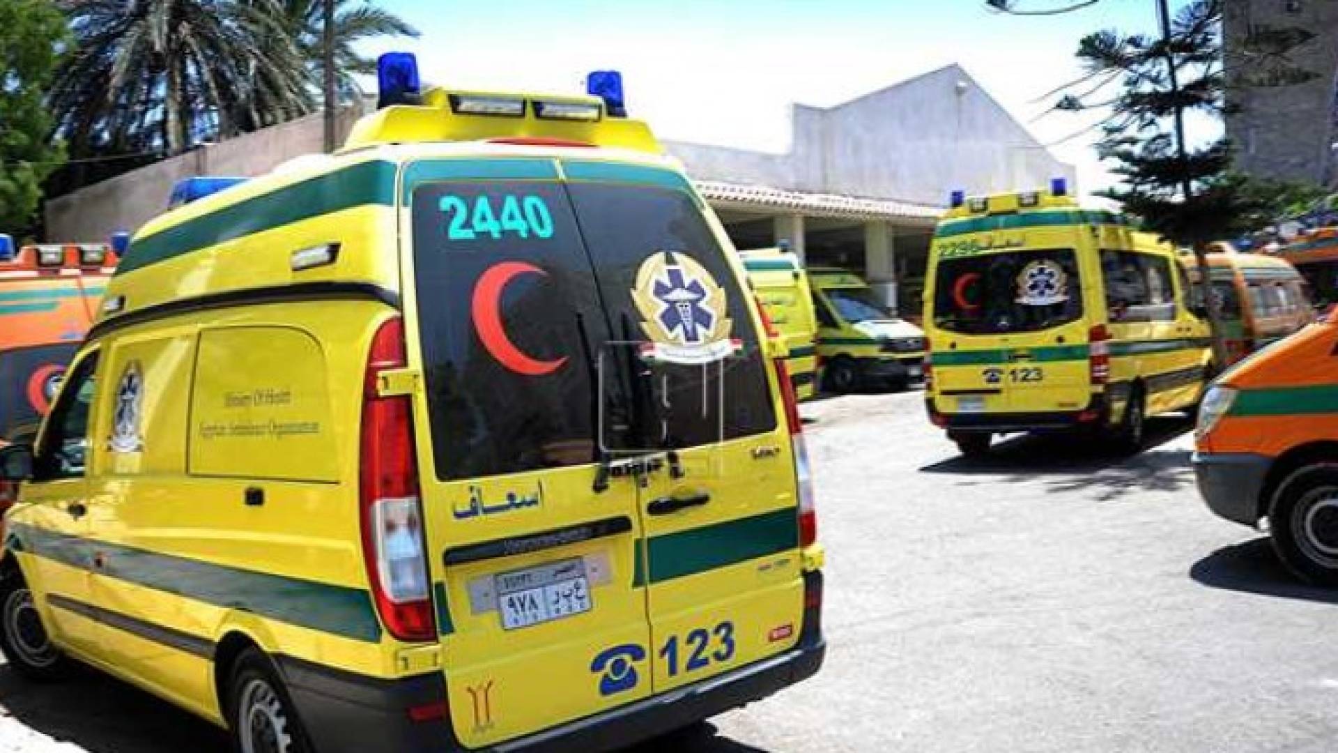 سيارات اسعاف مصرية -ارشيفية