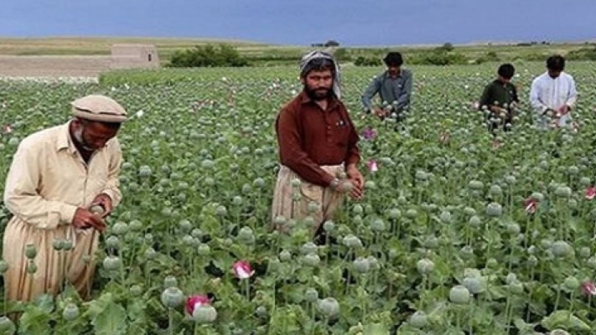 تعبيرية