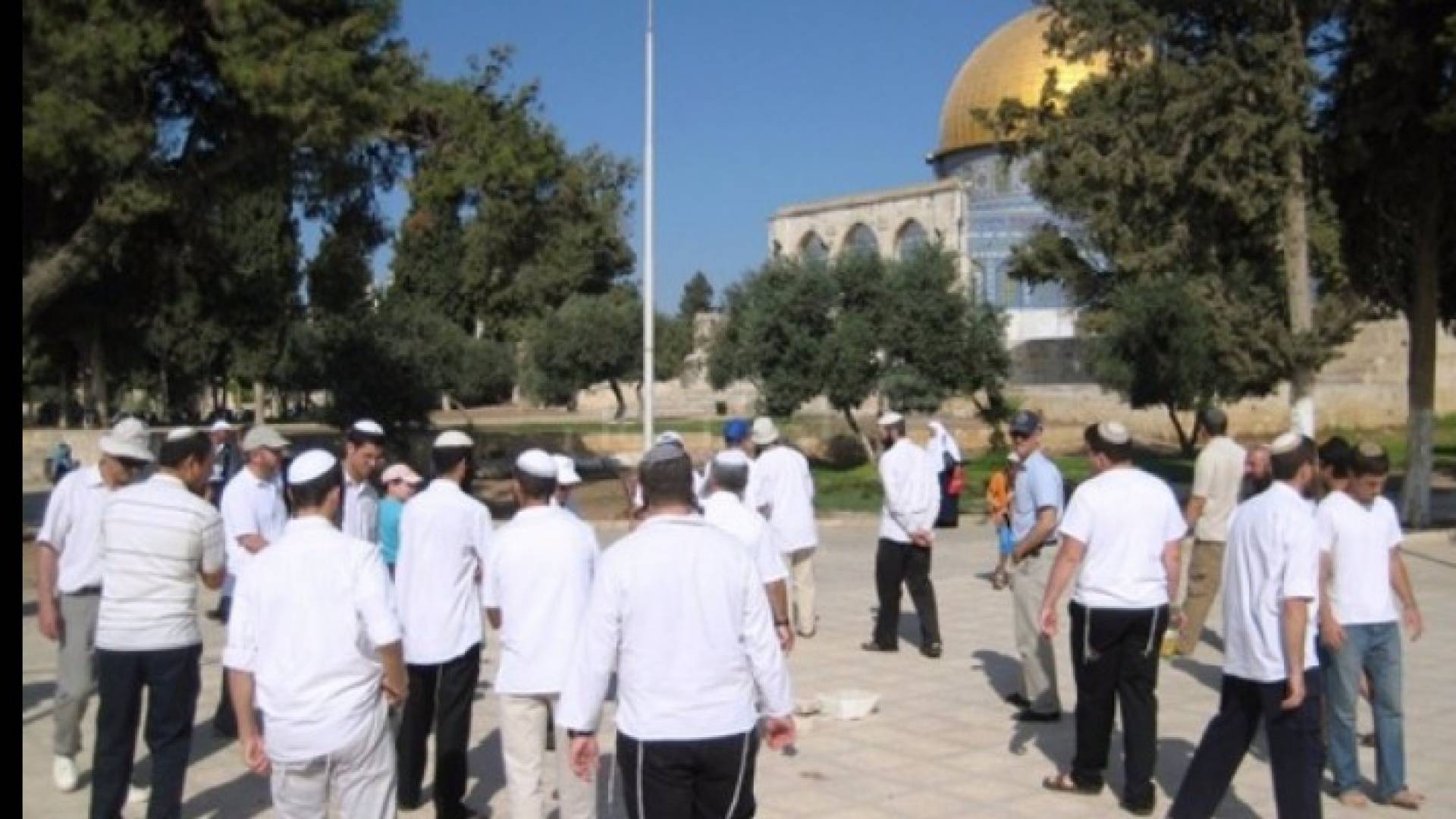 عدد من المستوطنين يقتحمون باحات المسجد الأقصى - أرشيفية