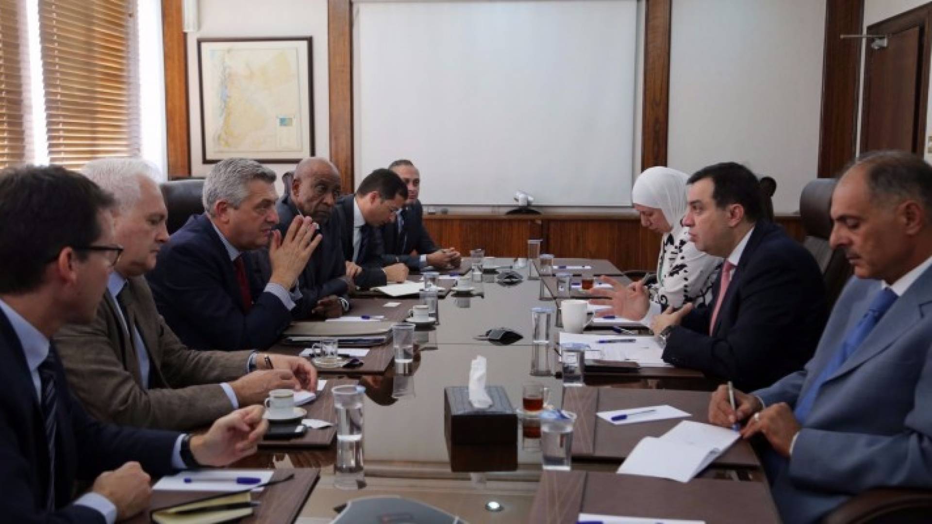 الفاخوري يؤكد على أهمية العمل لحث المجتمع الدولي على توفير الدعم للمملكة