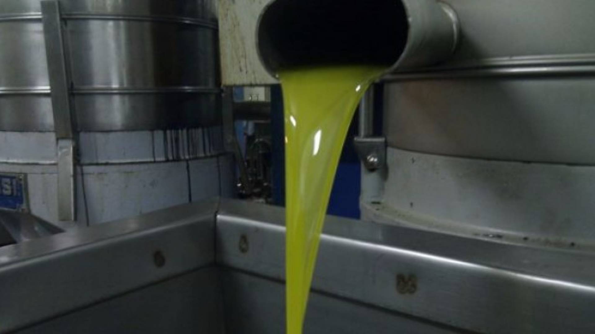 معصرة زيتون - ارشيفية 