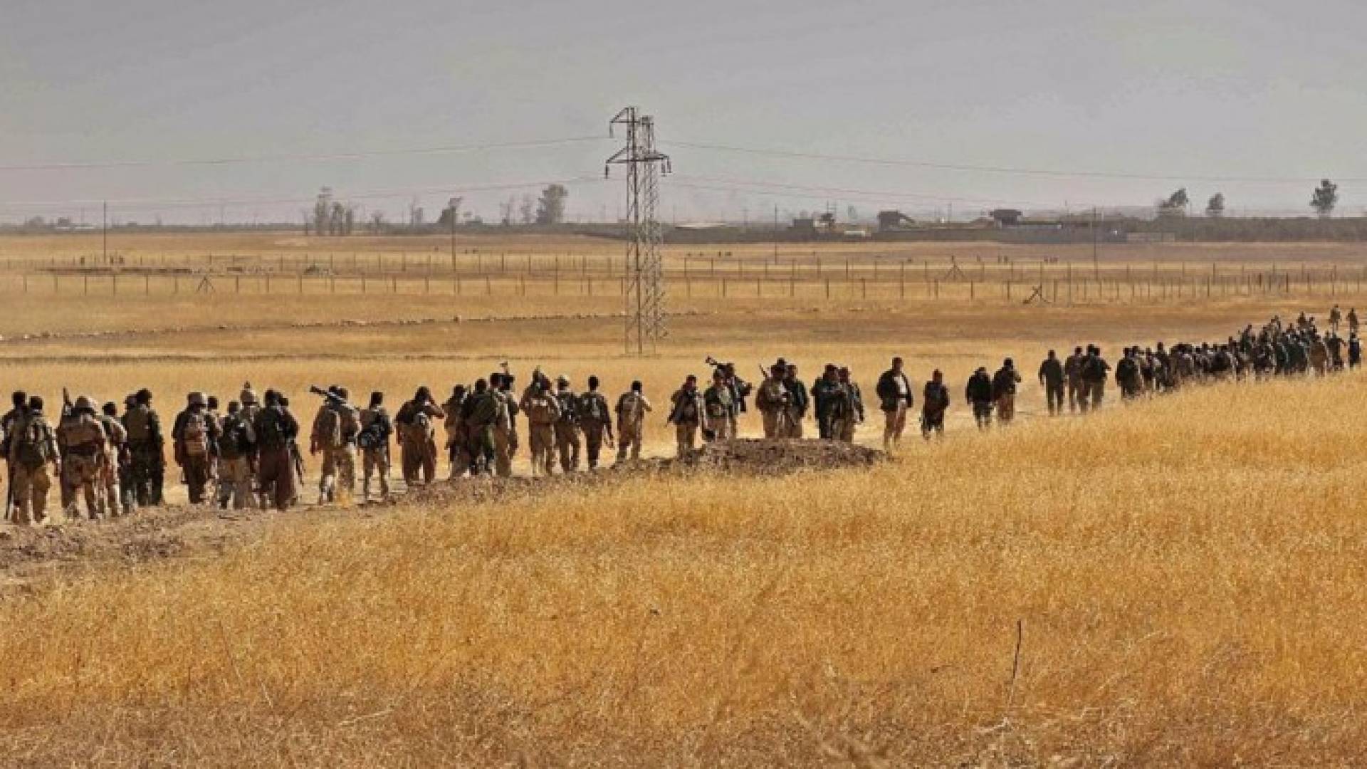 عناصر من عصابة داعش الارهابيبة 