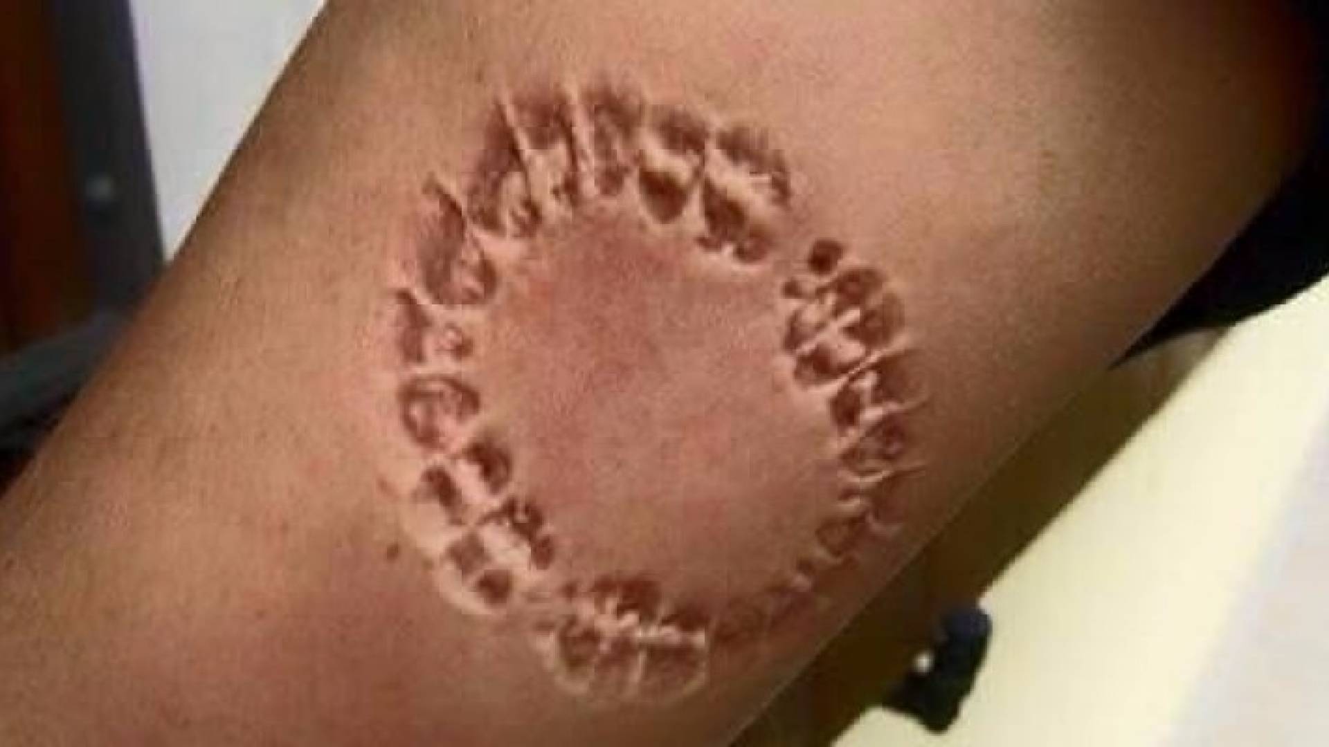 صورة تعبيرية