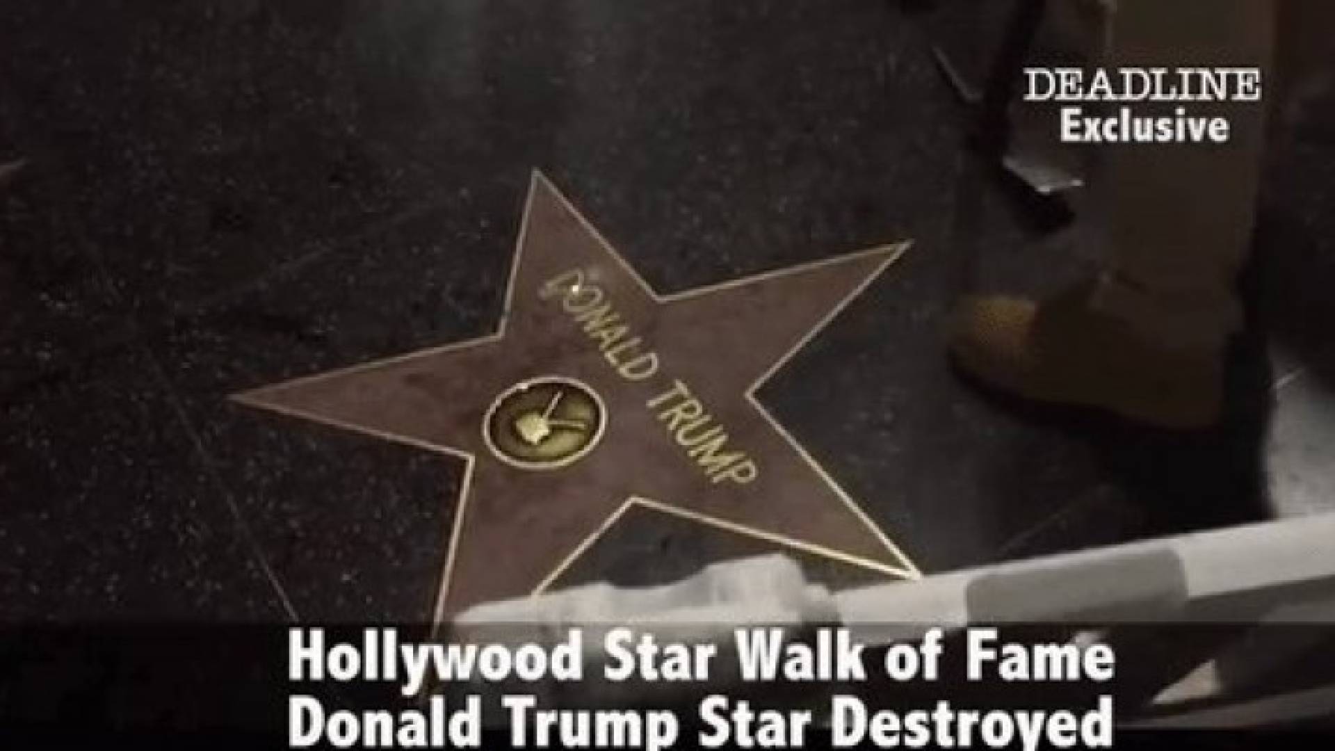 نجمة ترامب في مدينة المشاهير 