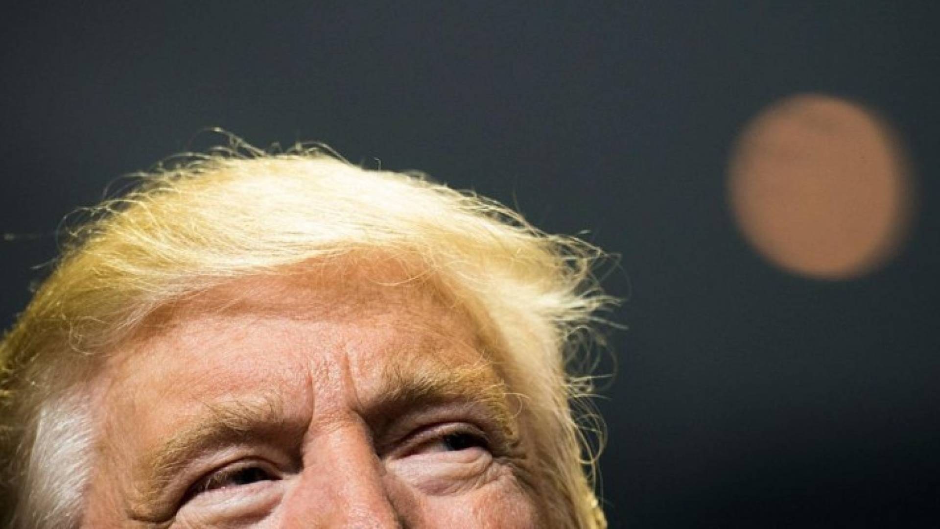 دونالد ترامب