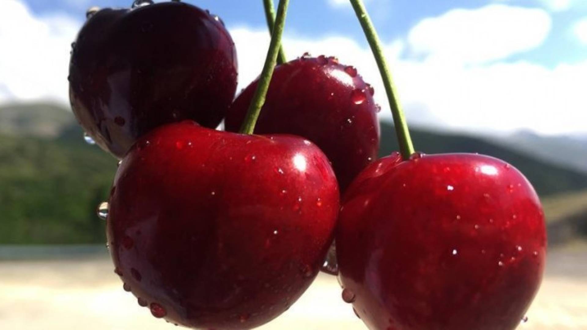 كرز - ارشيفية