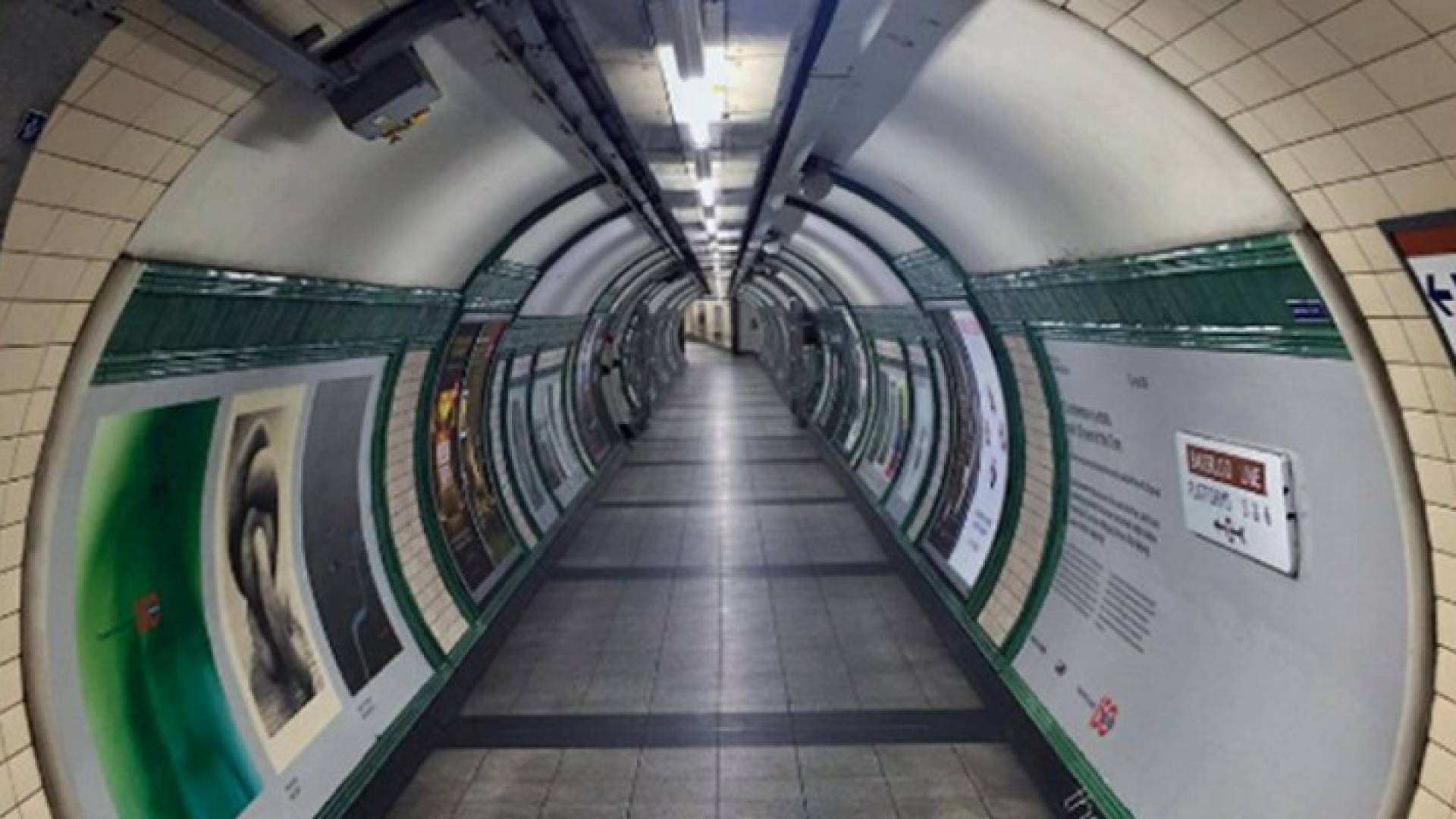 غوغل تطور ذكاء اصطناعيا يمكنه التعلم ذاتيا.. فيديو وصور