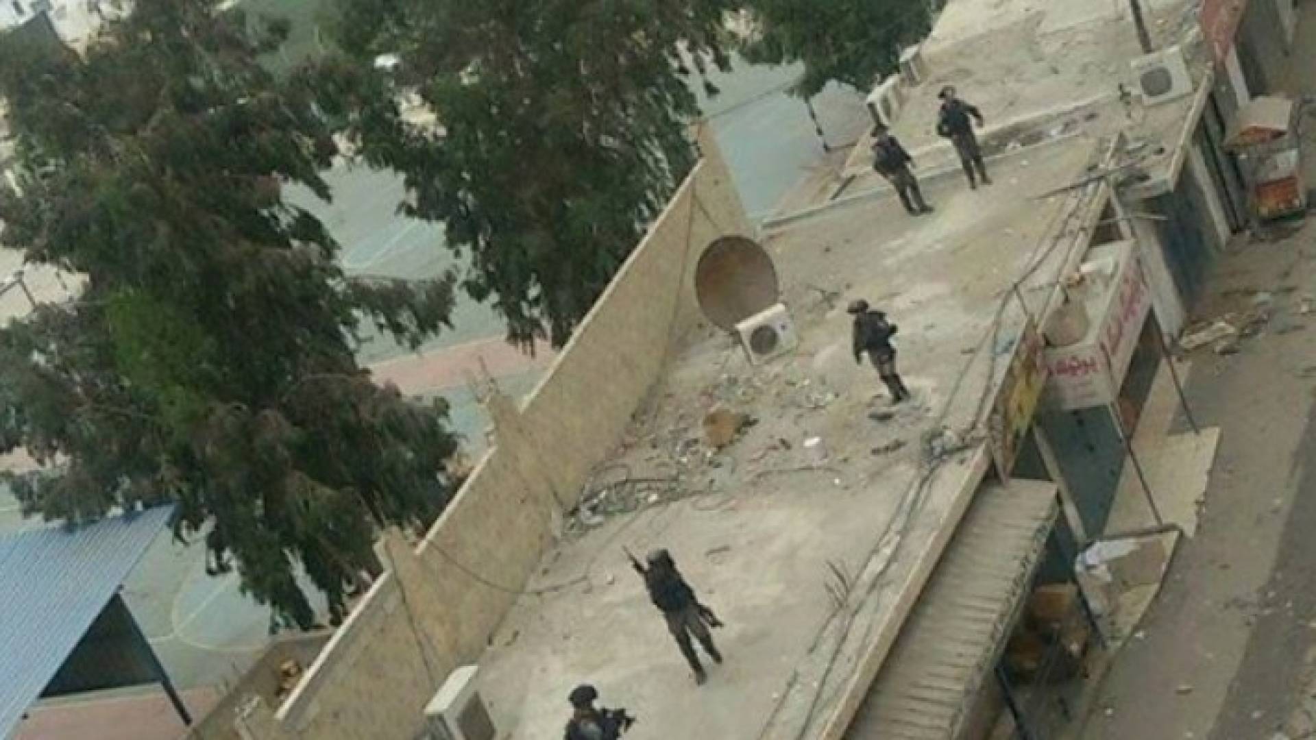 ارشفية