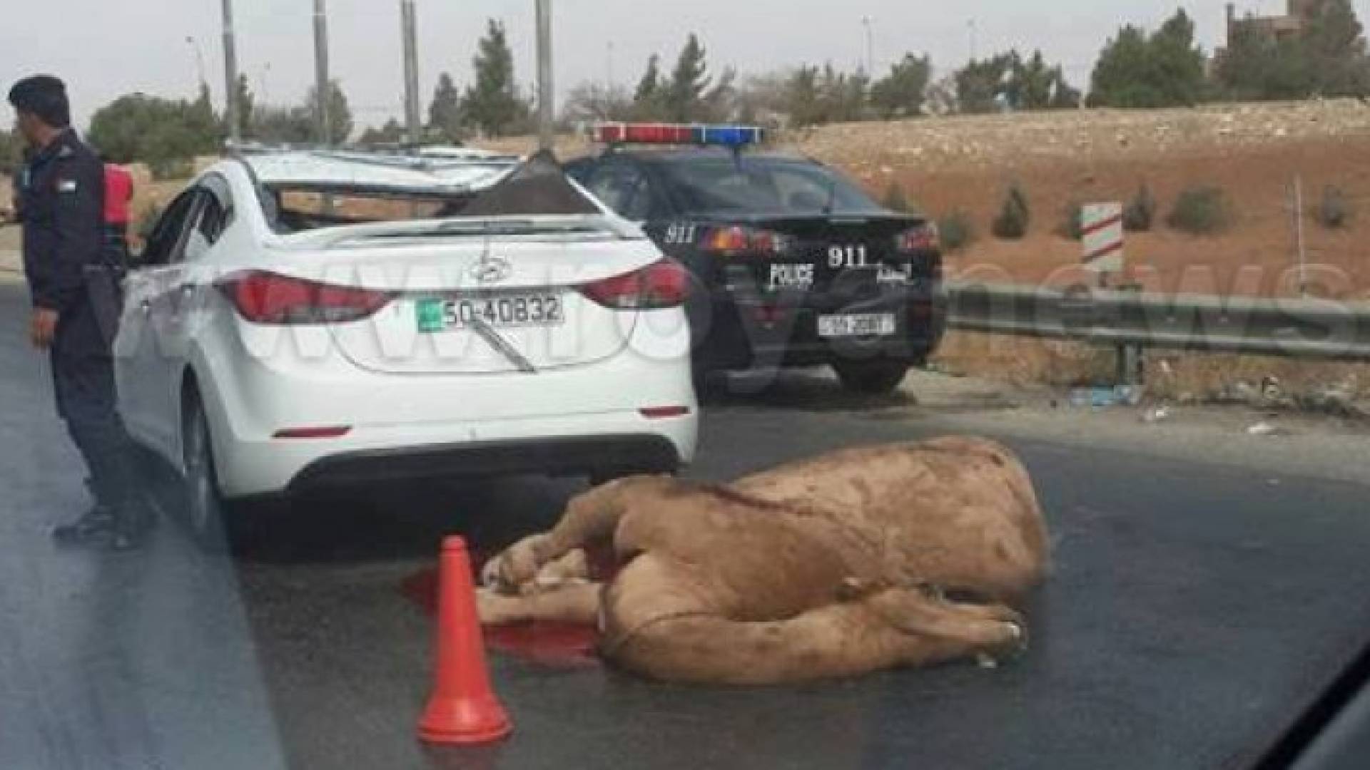 الصورة من الحادث