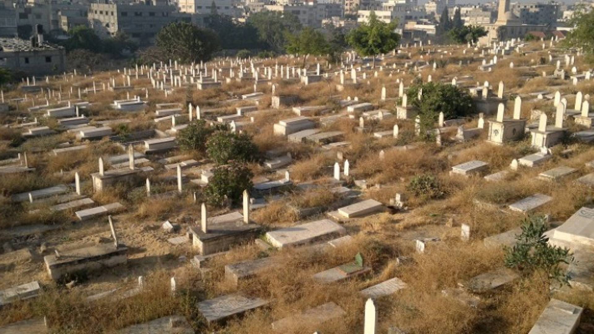 مقبرة - ارشيفية 