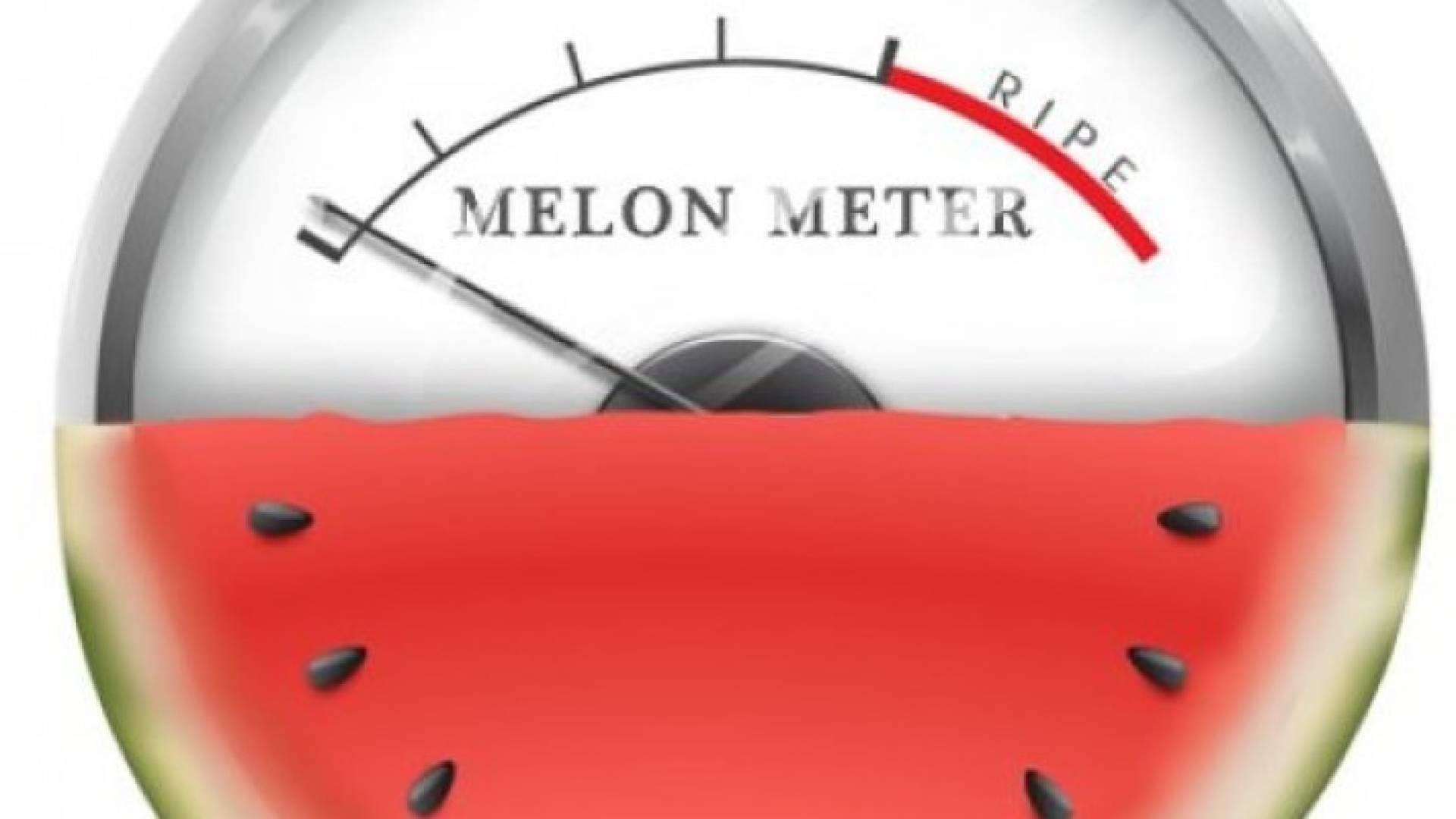 تطبيق "Melon Meter" سيحل معضلتك من خلال قياس نسبة نضوجه