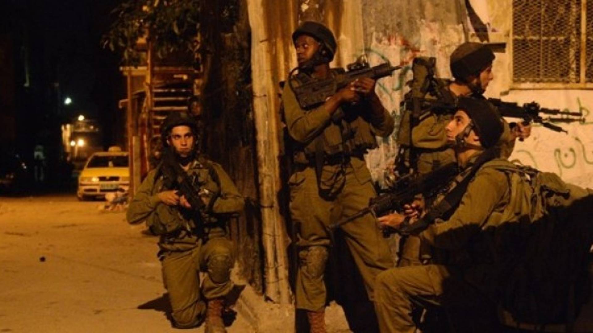 ارشيفية