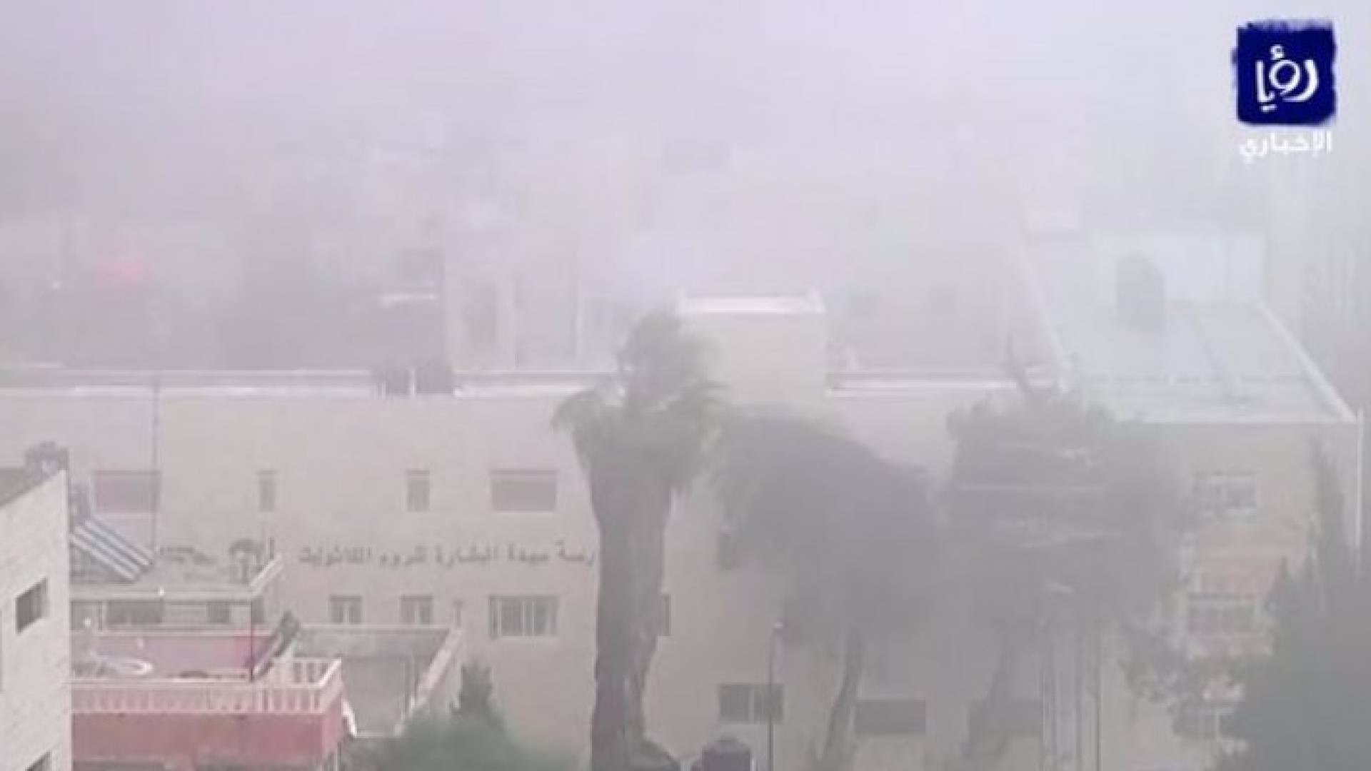 صورة من الفيديو