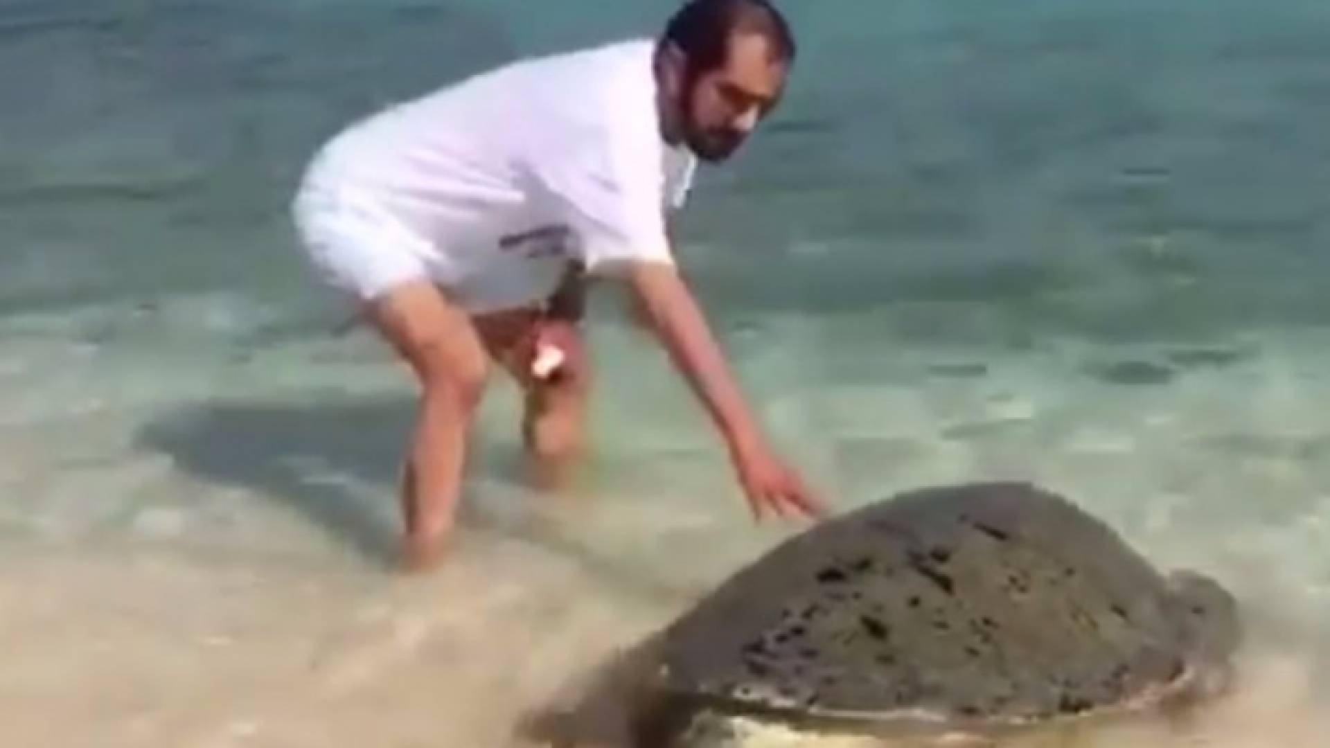 صور من الفيديو 