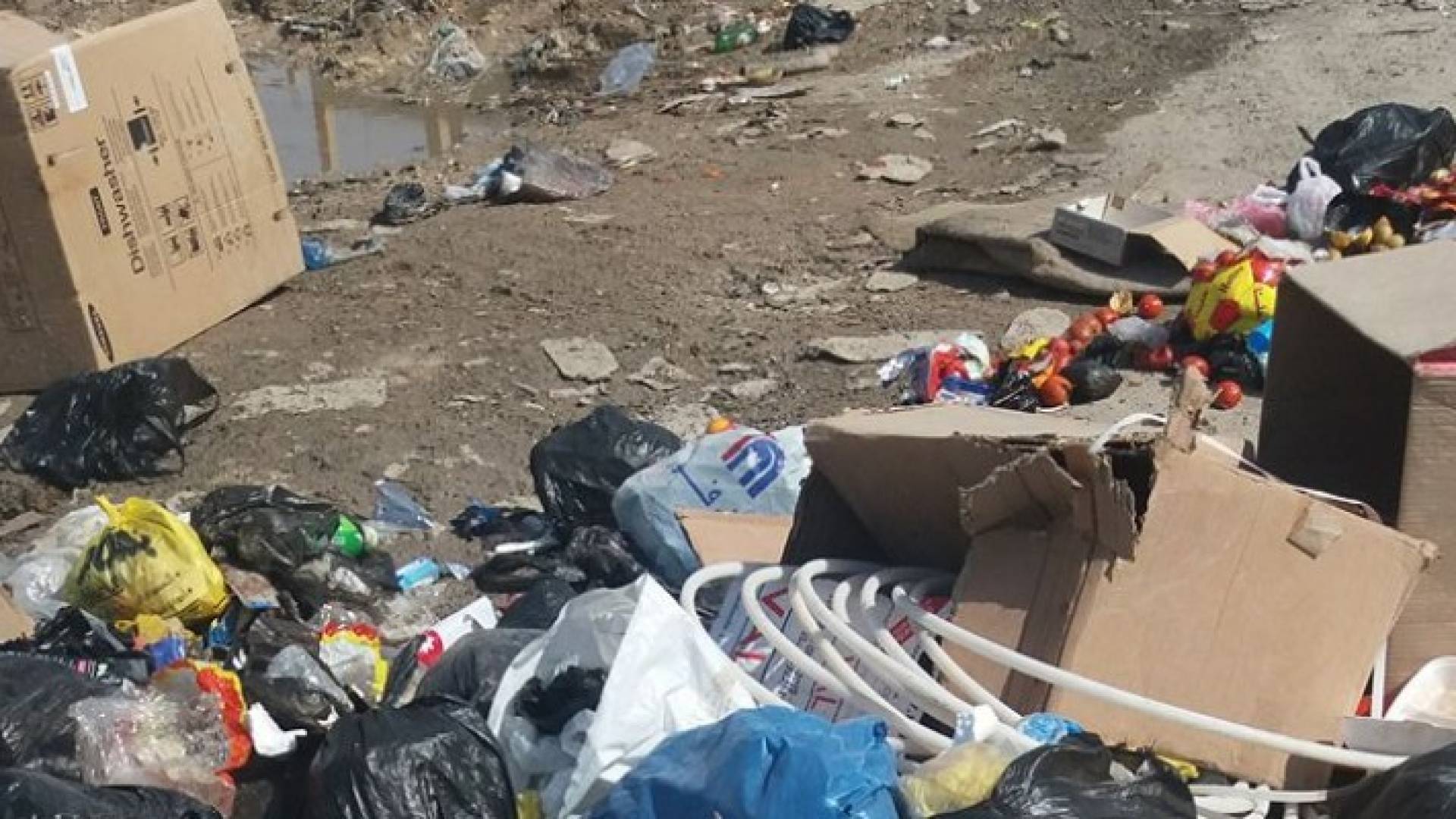 النفايات على طريق ابونصير المؤدي الى مخيم البقعة 