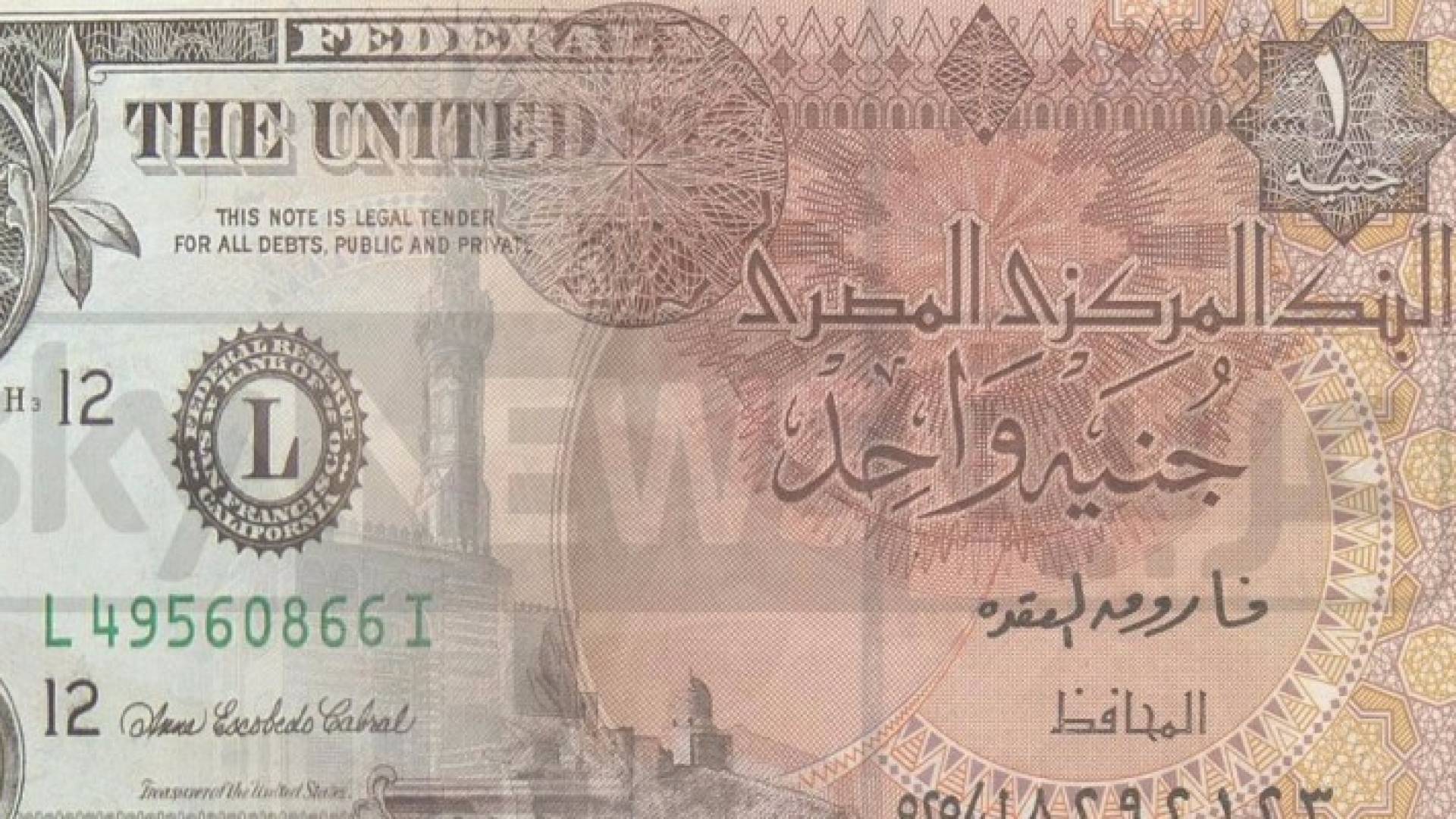 جنيه مصري - تعبيرية