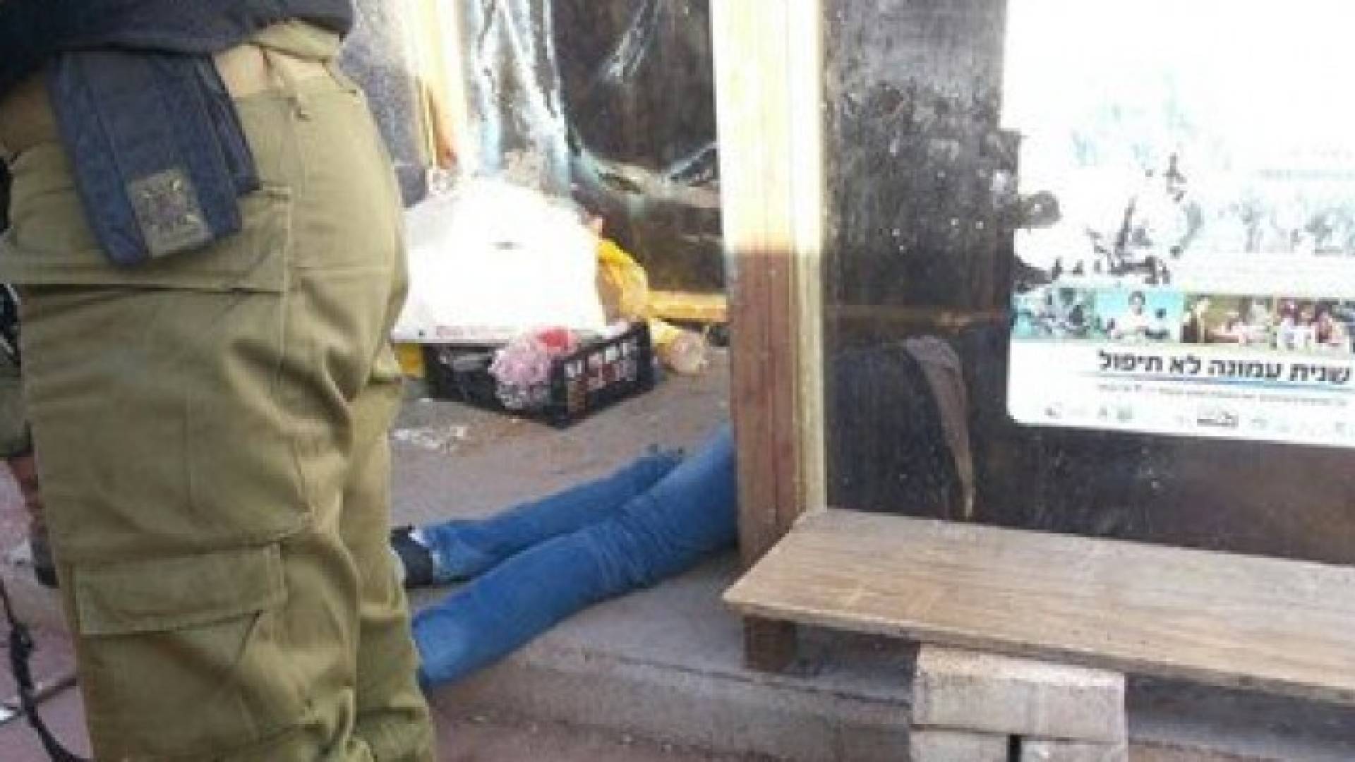 صورة الشهيد