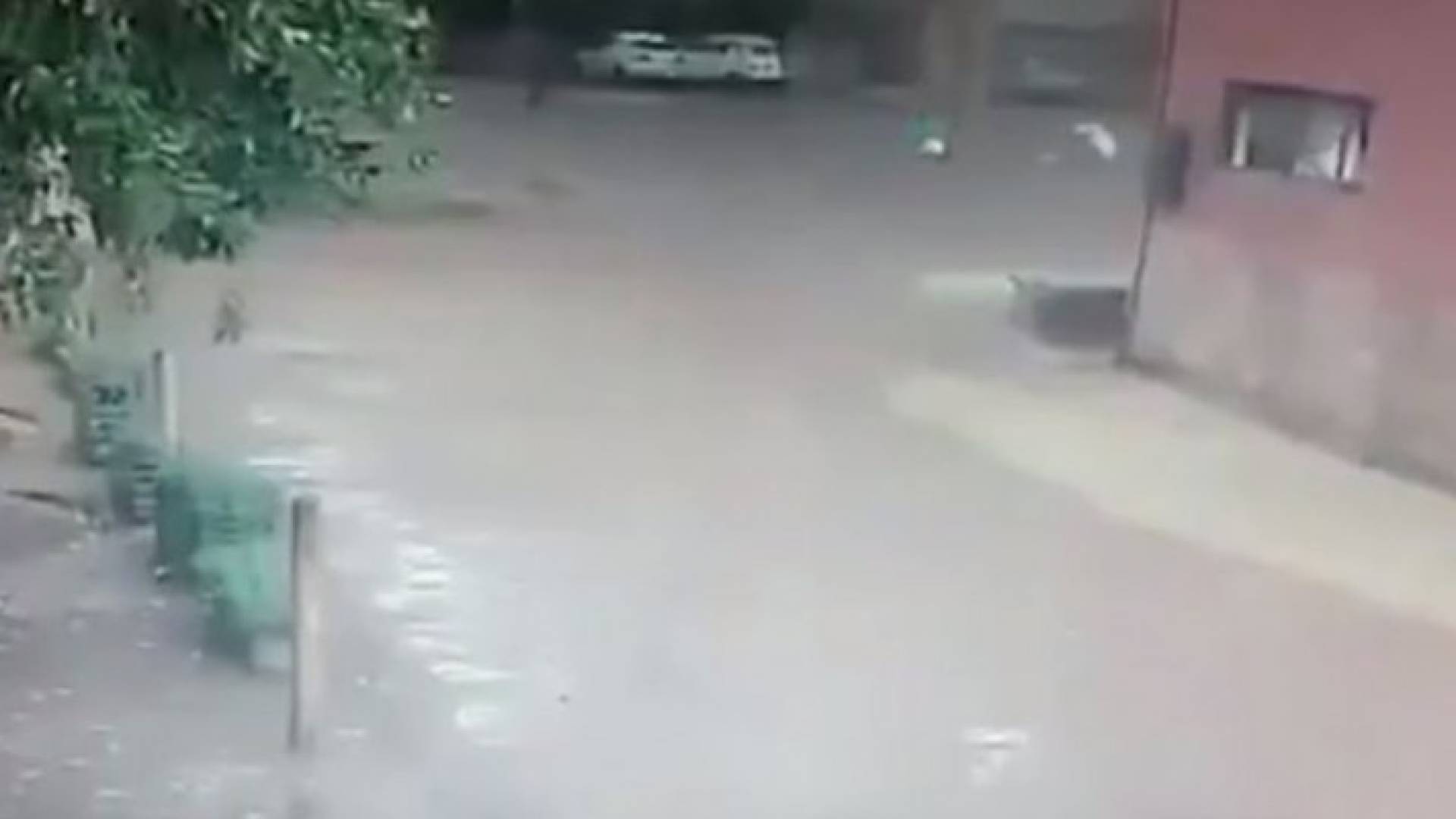 الصورة من الفيديو