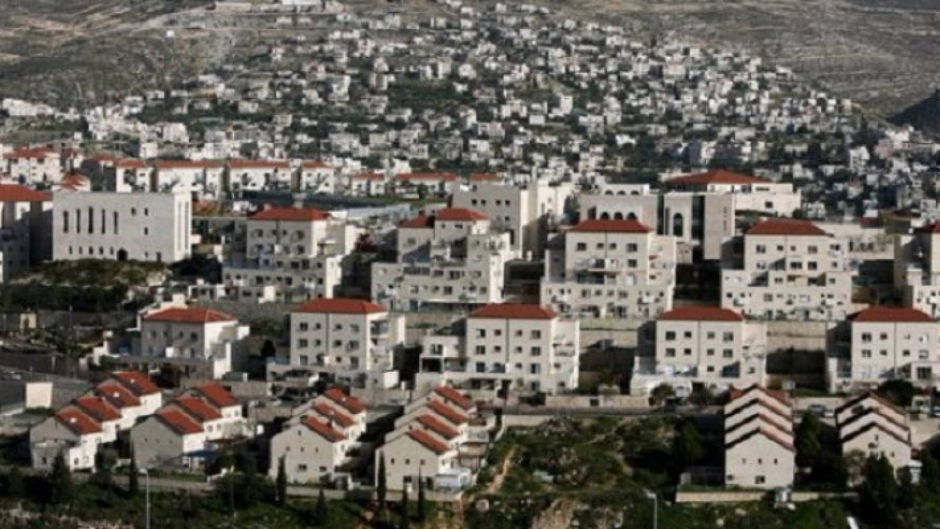 وحدات استيطانية - تعبيرية