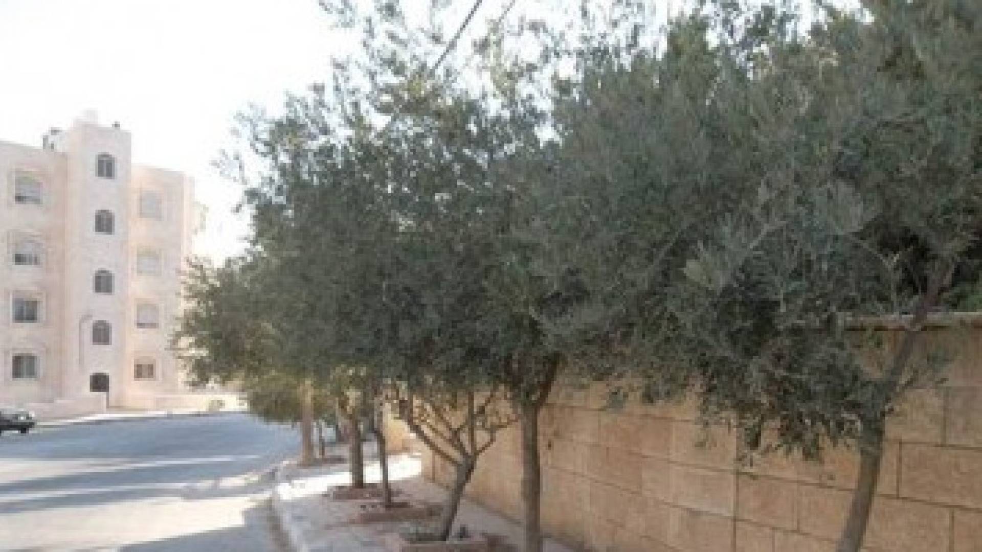 ارشيفية