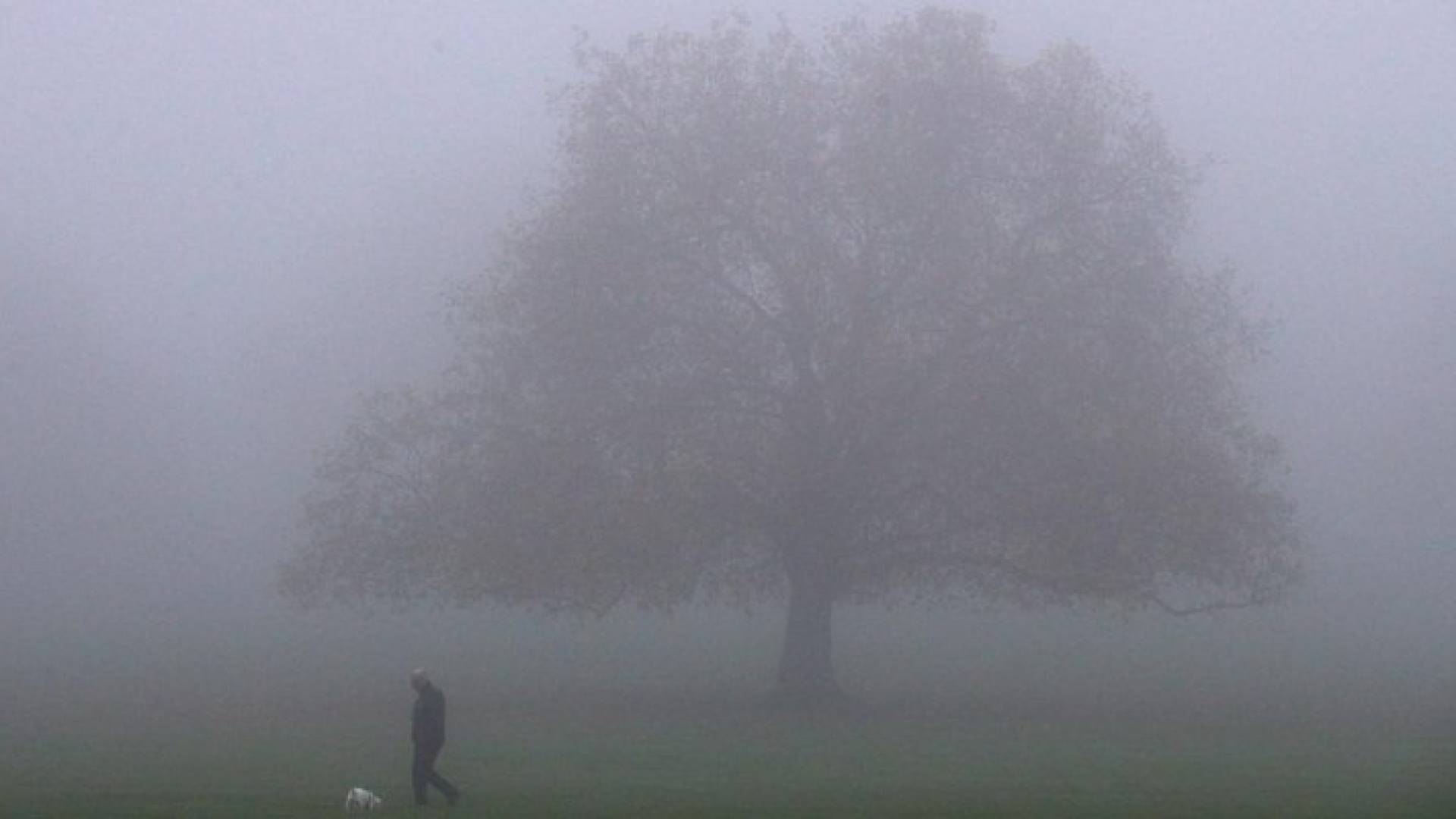 ينصح الأطباء السكان بالبقاء في منازلهم وارتداء الأقنعة خارج المنزل