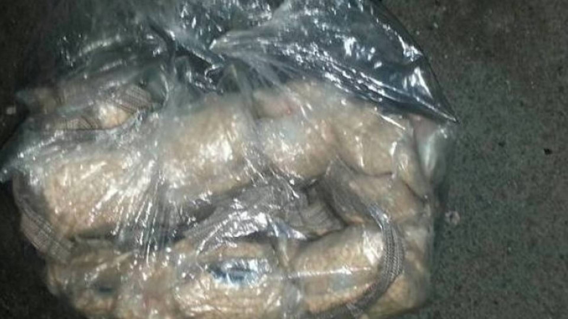 من المضبوطات