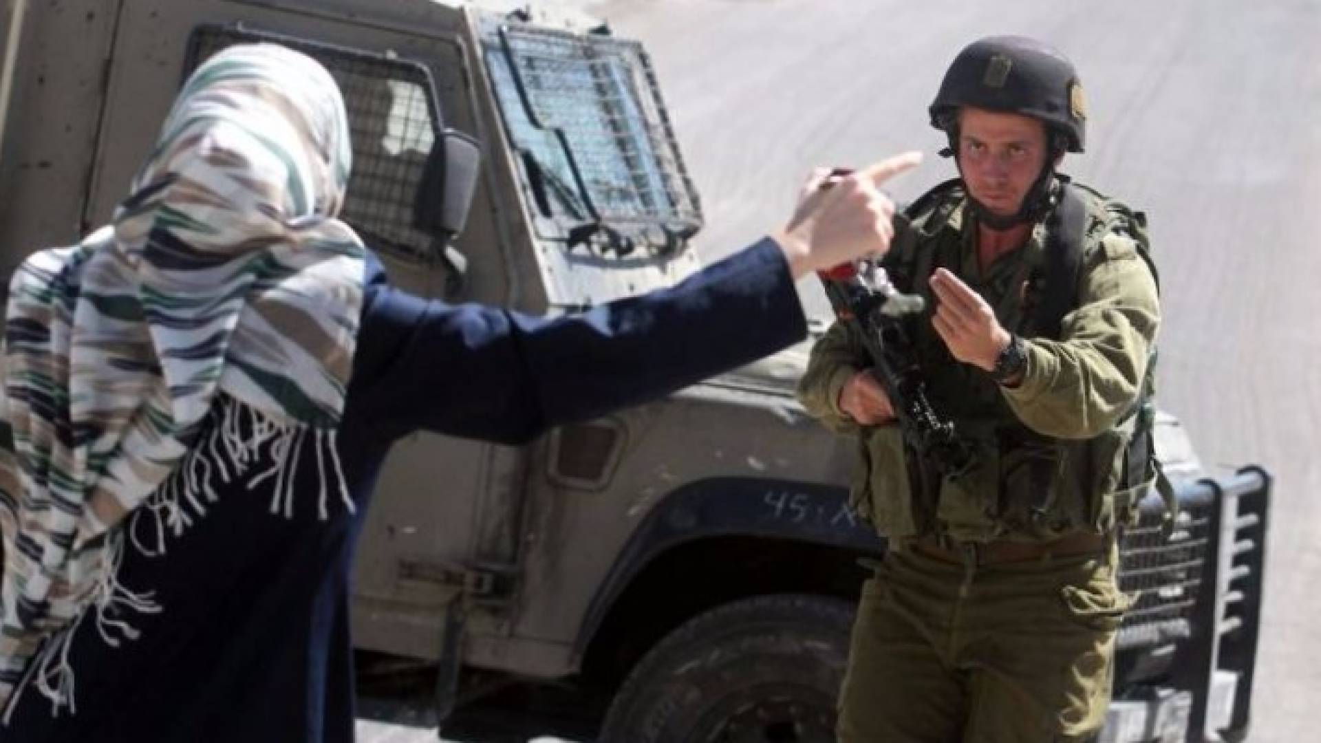 ارشيفية