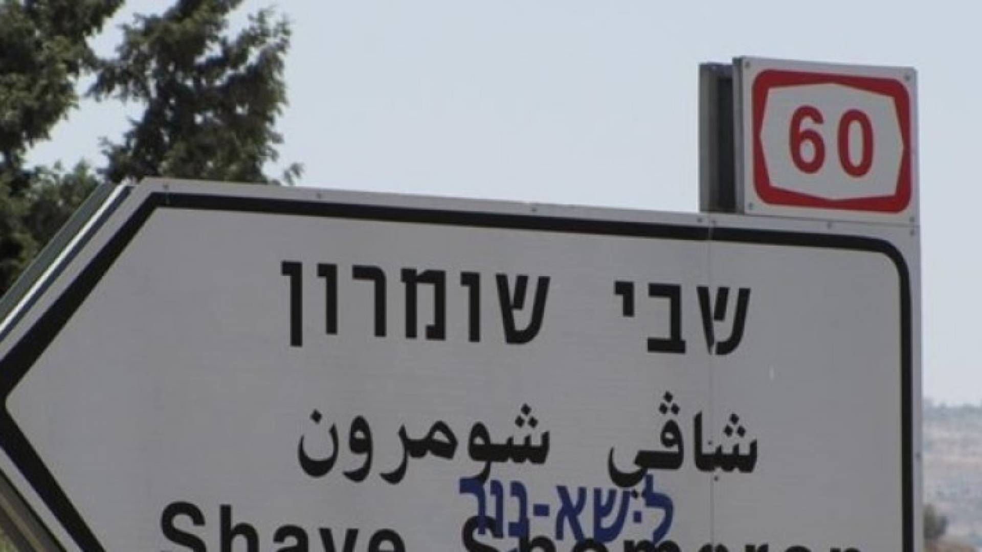 ارشيفية