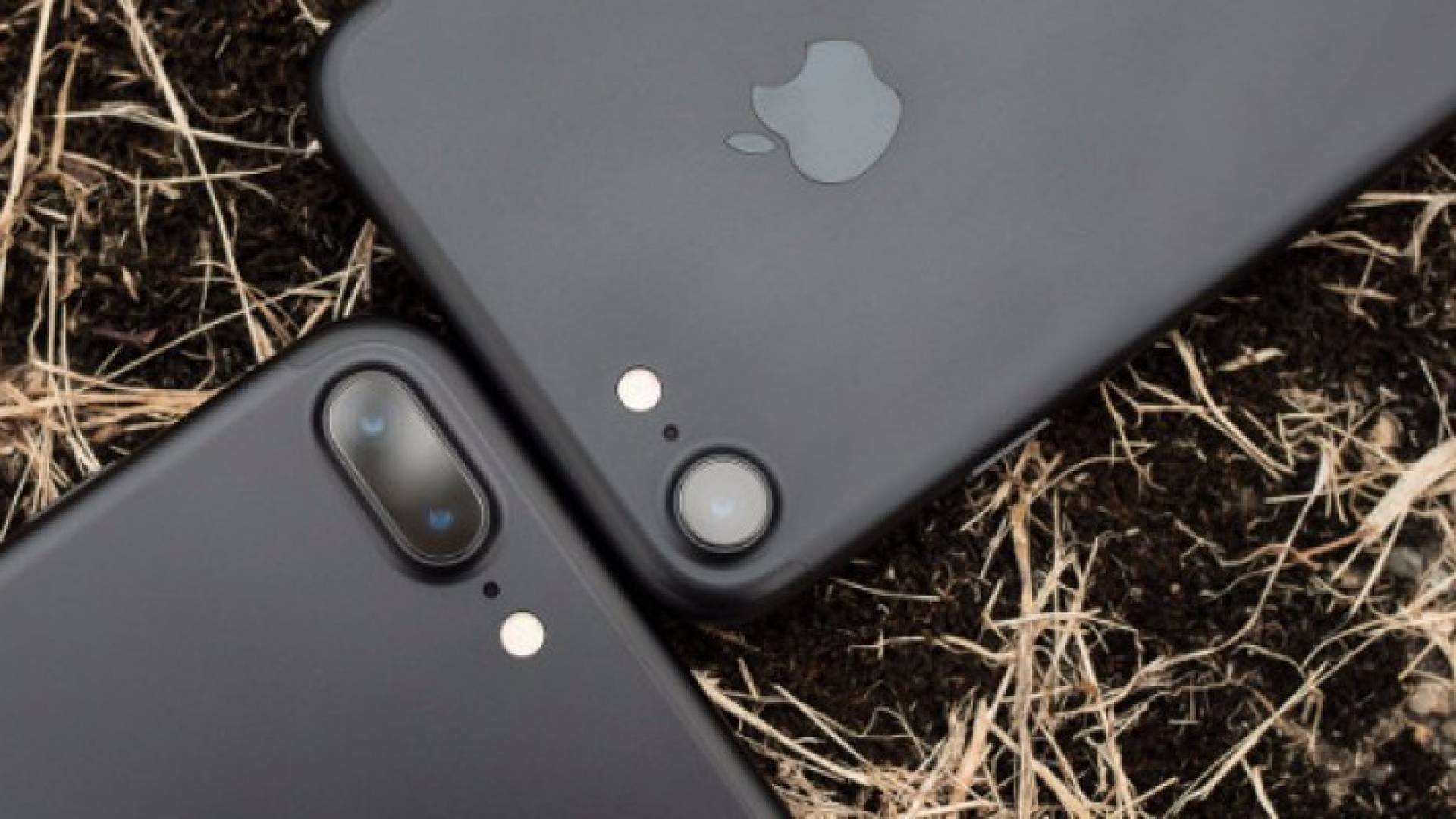 هاتف آيف فون 7