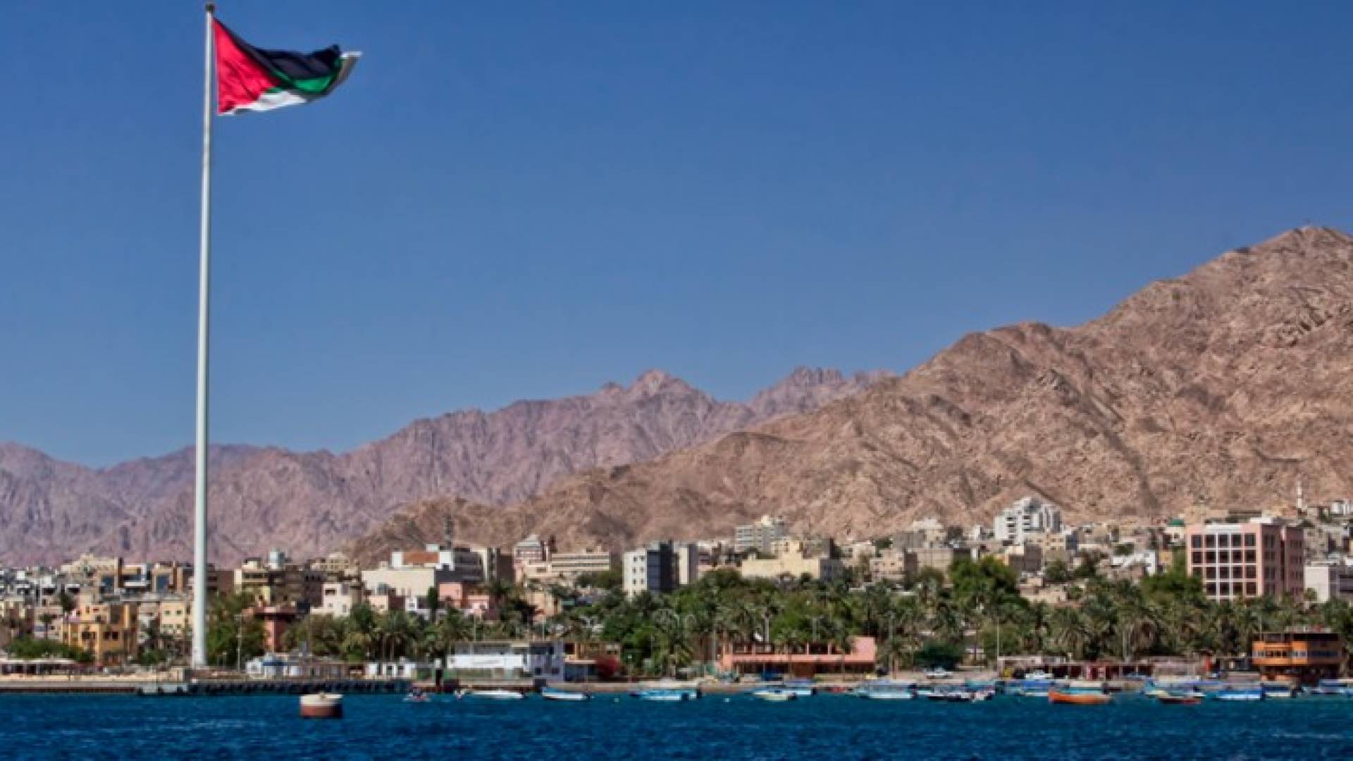 ارشيفية