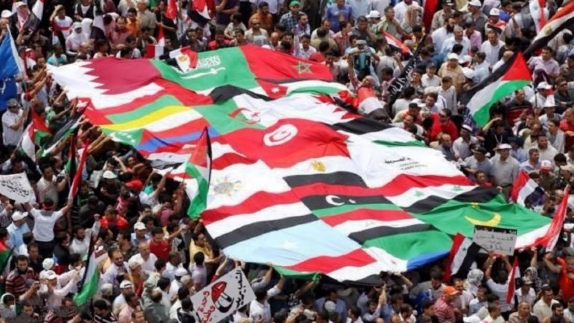 ارشيفية