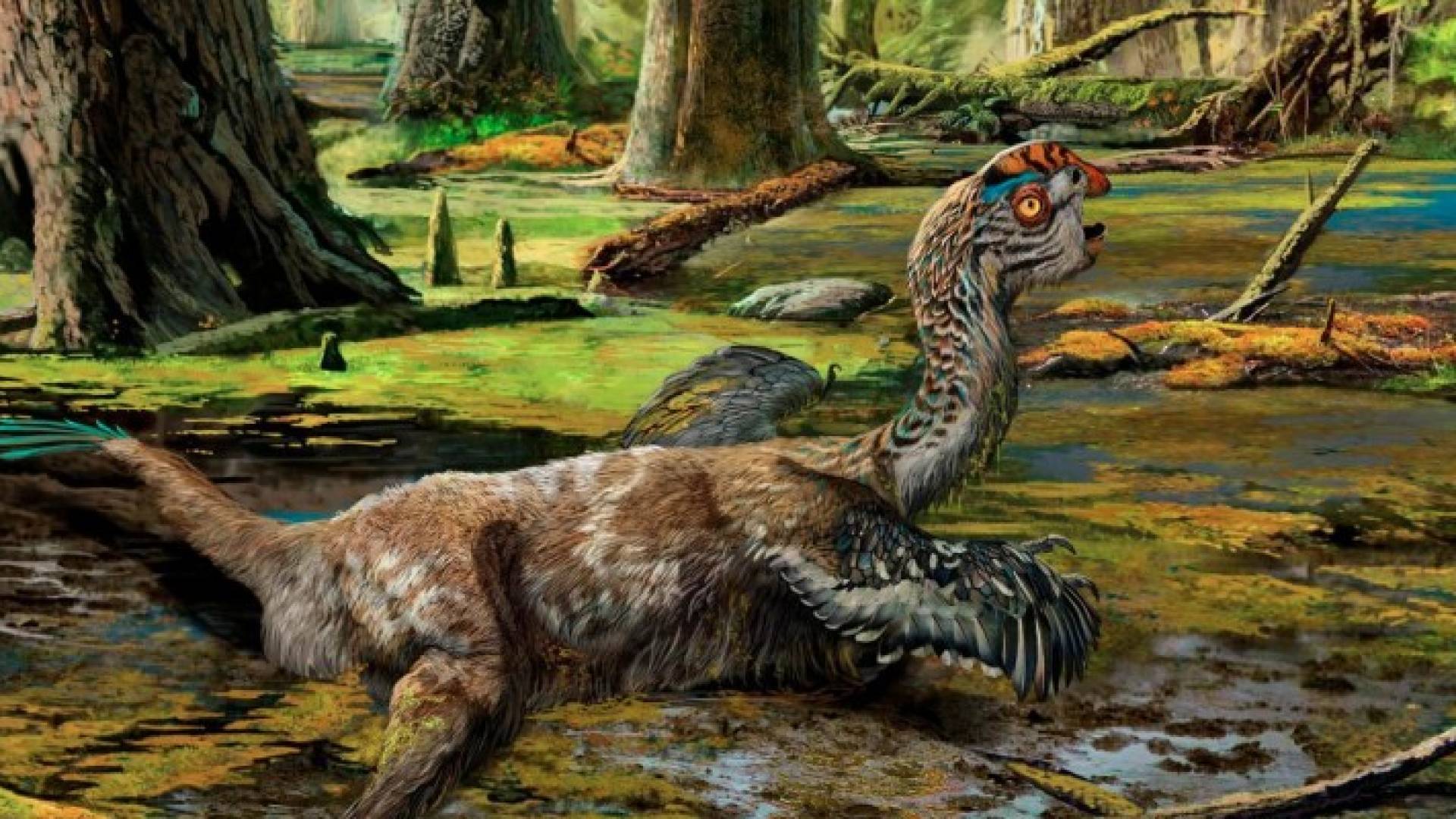 صورة انطباعية على شكل الداينصور 