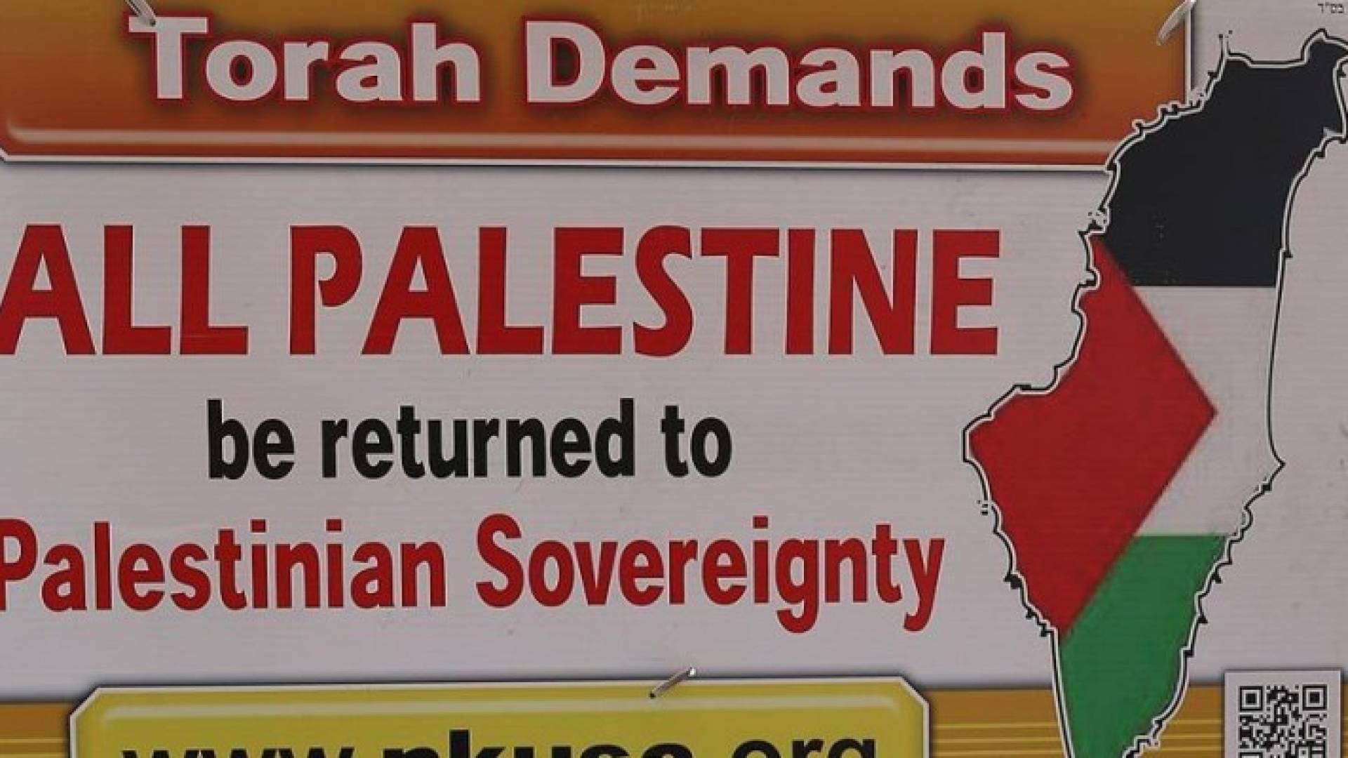 [جانب من المظاهرات 