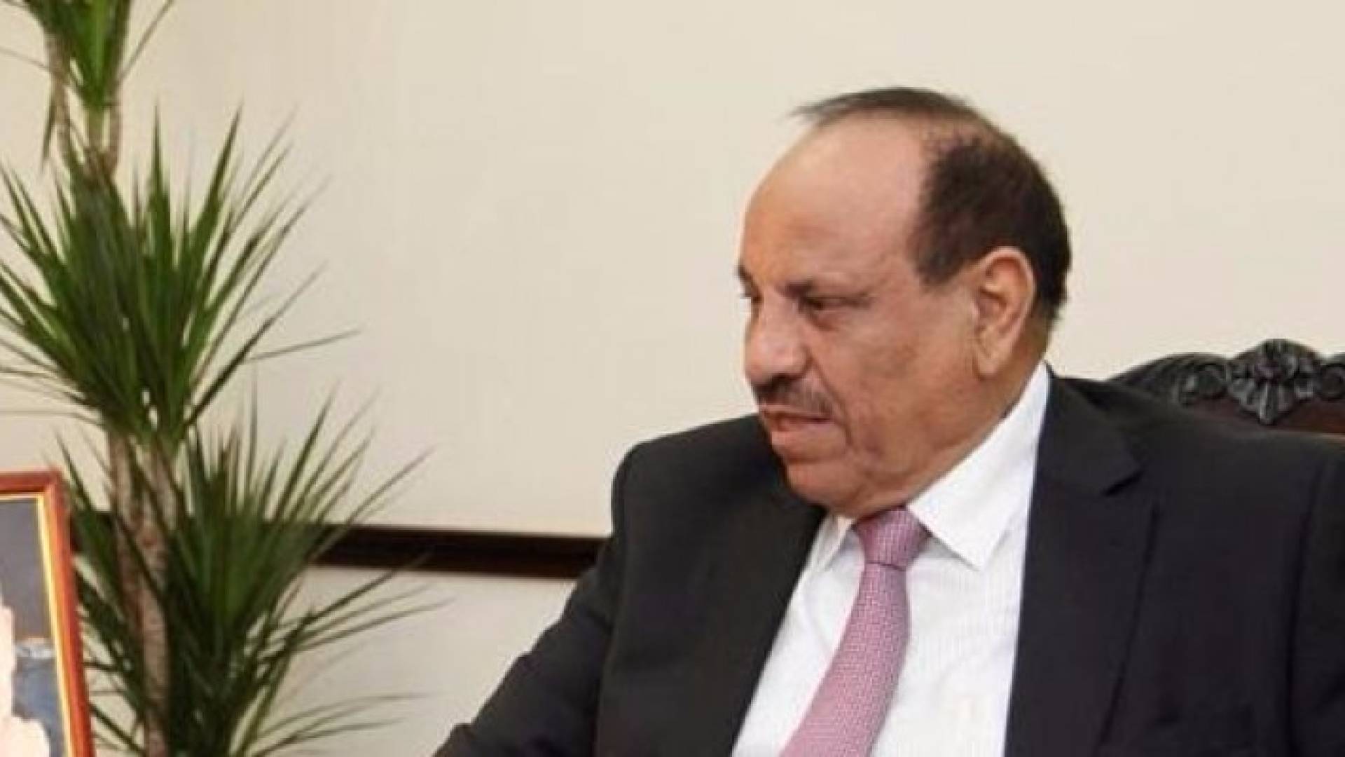 وزير الداخلية سلامة حماد