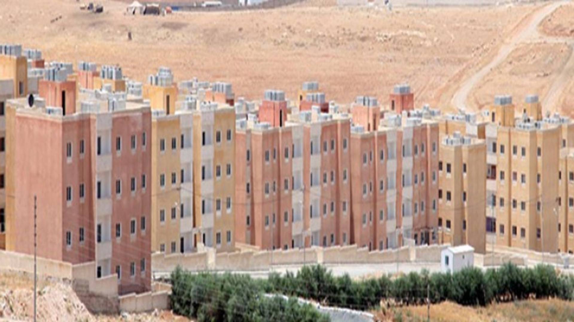 ارشيفية