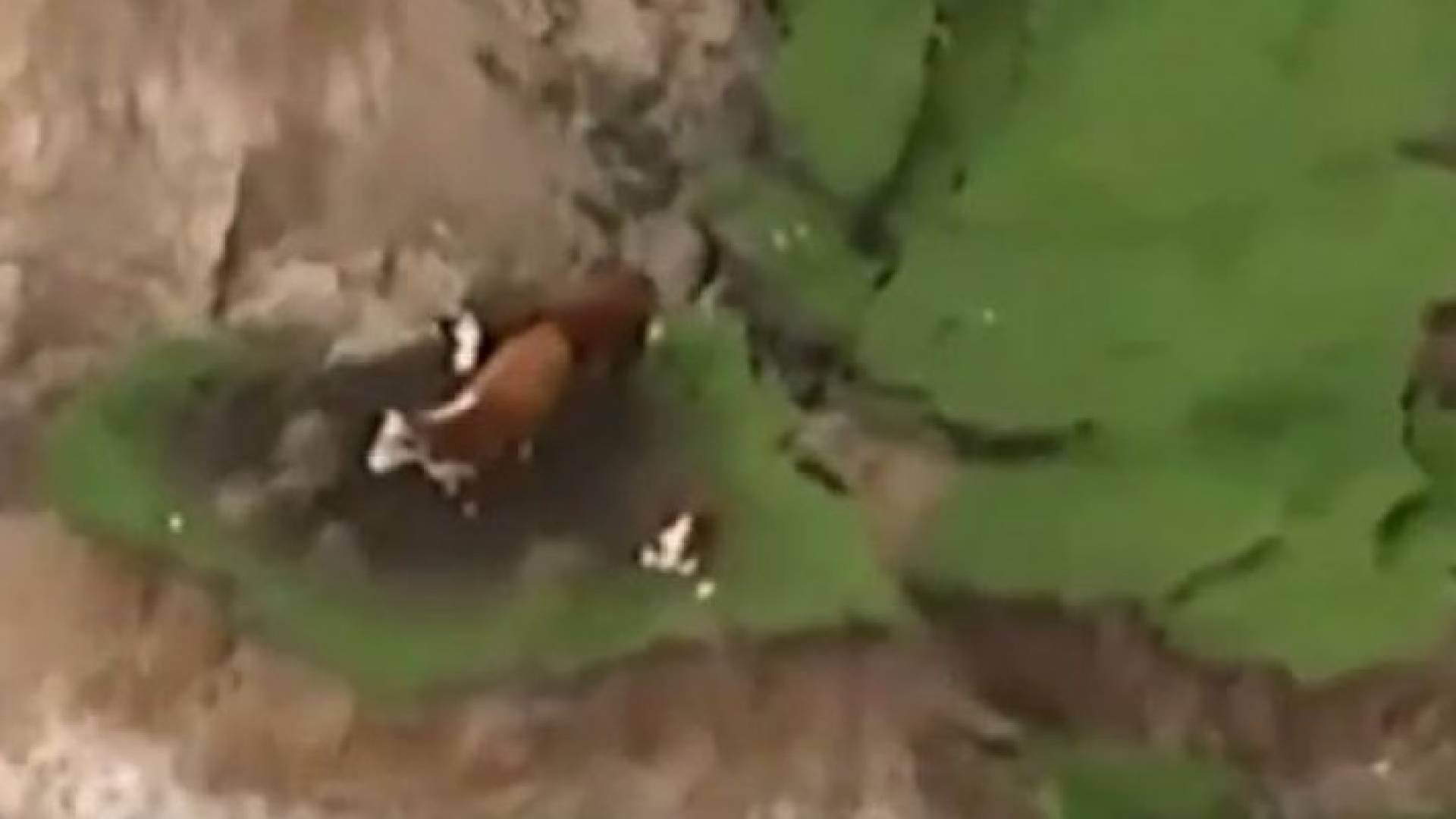 صورة من الفيديو