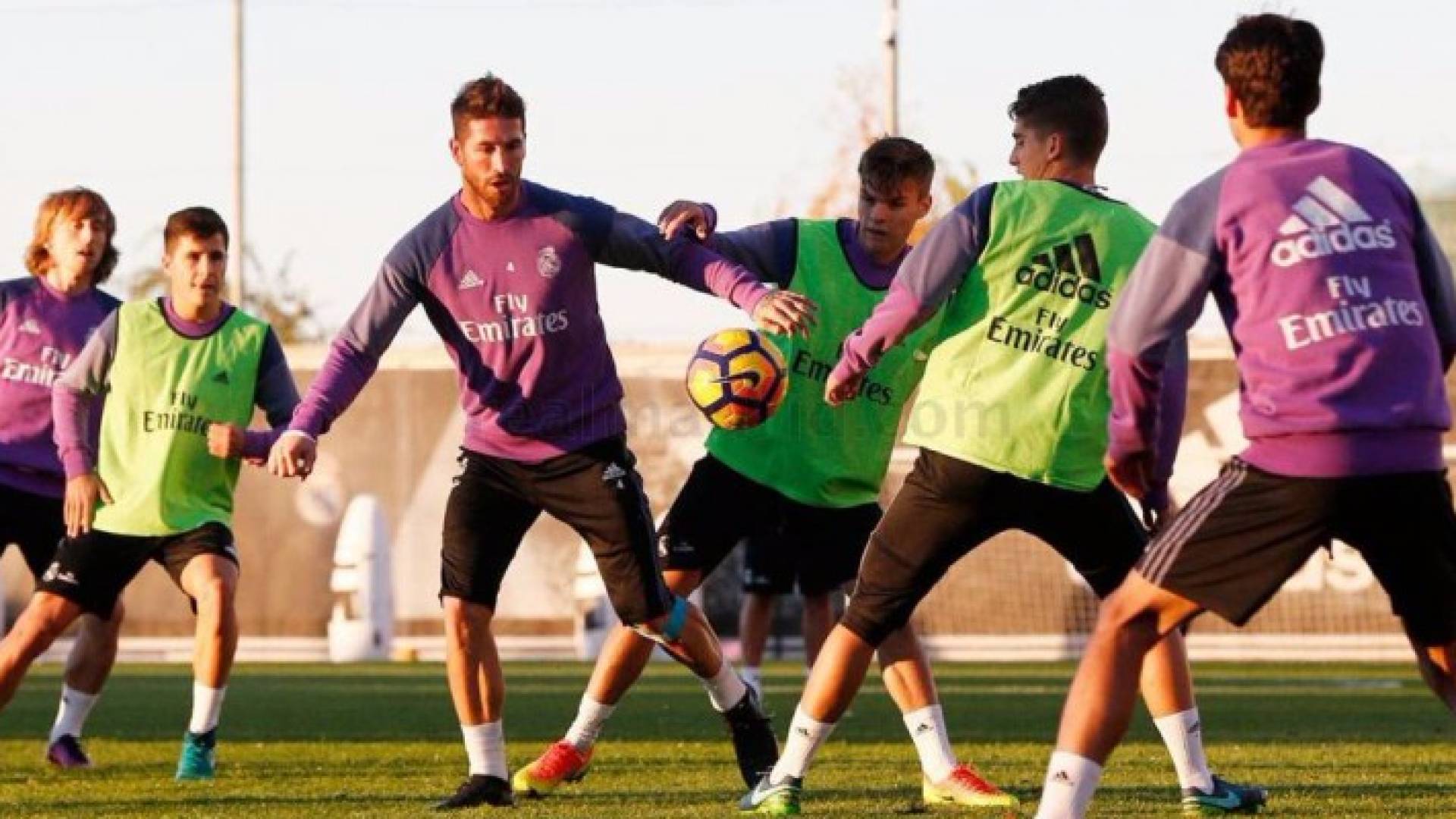 ارشيفية
