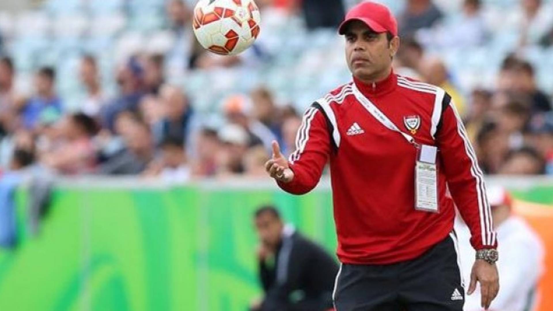 ارشيفية