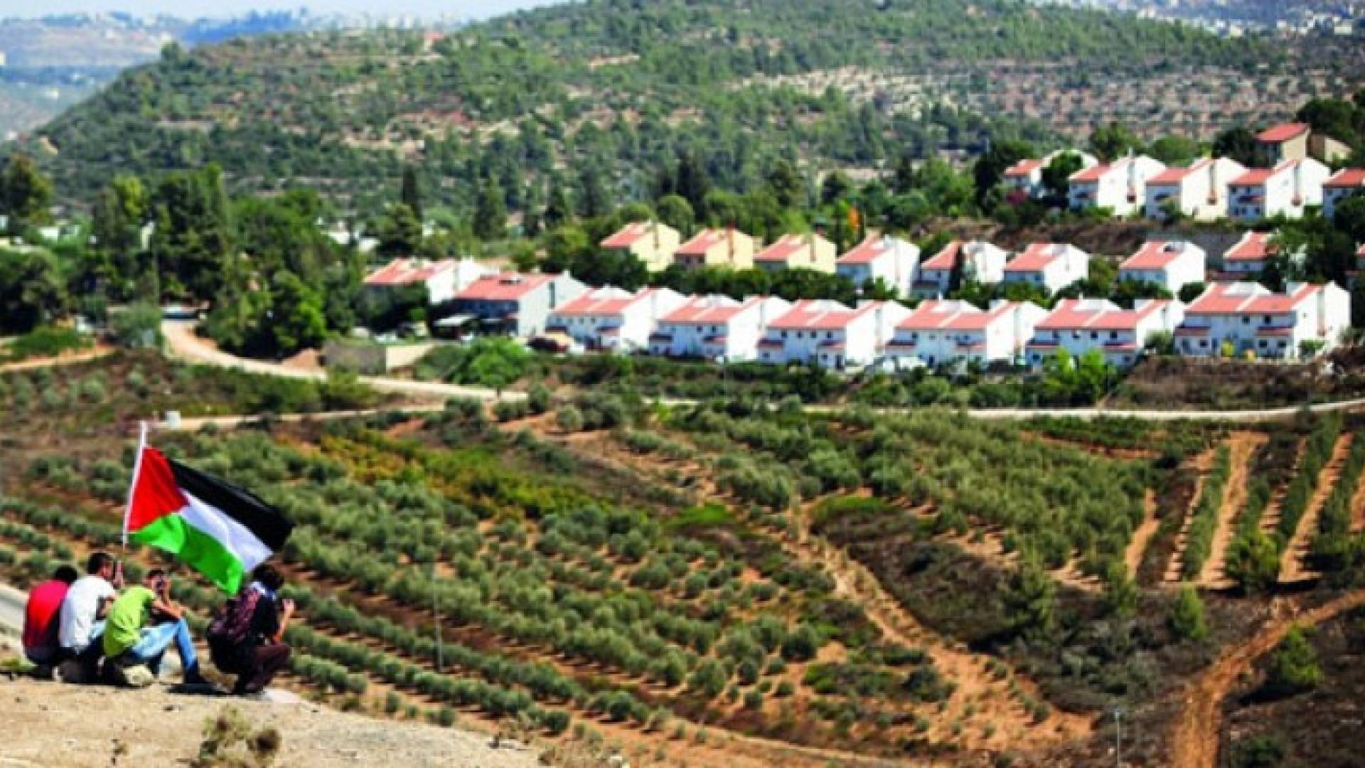 ارشيفية