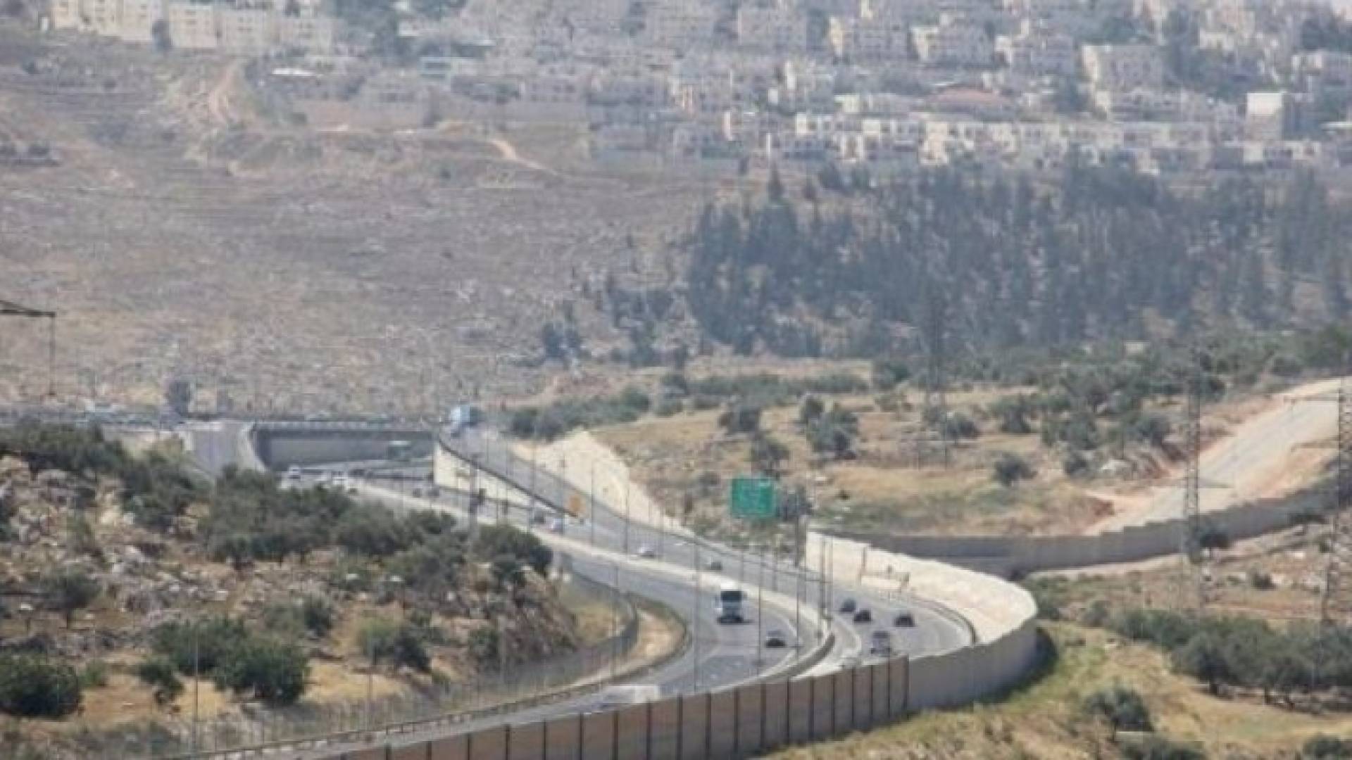 ارشيفية 