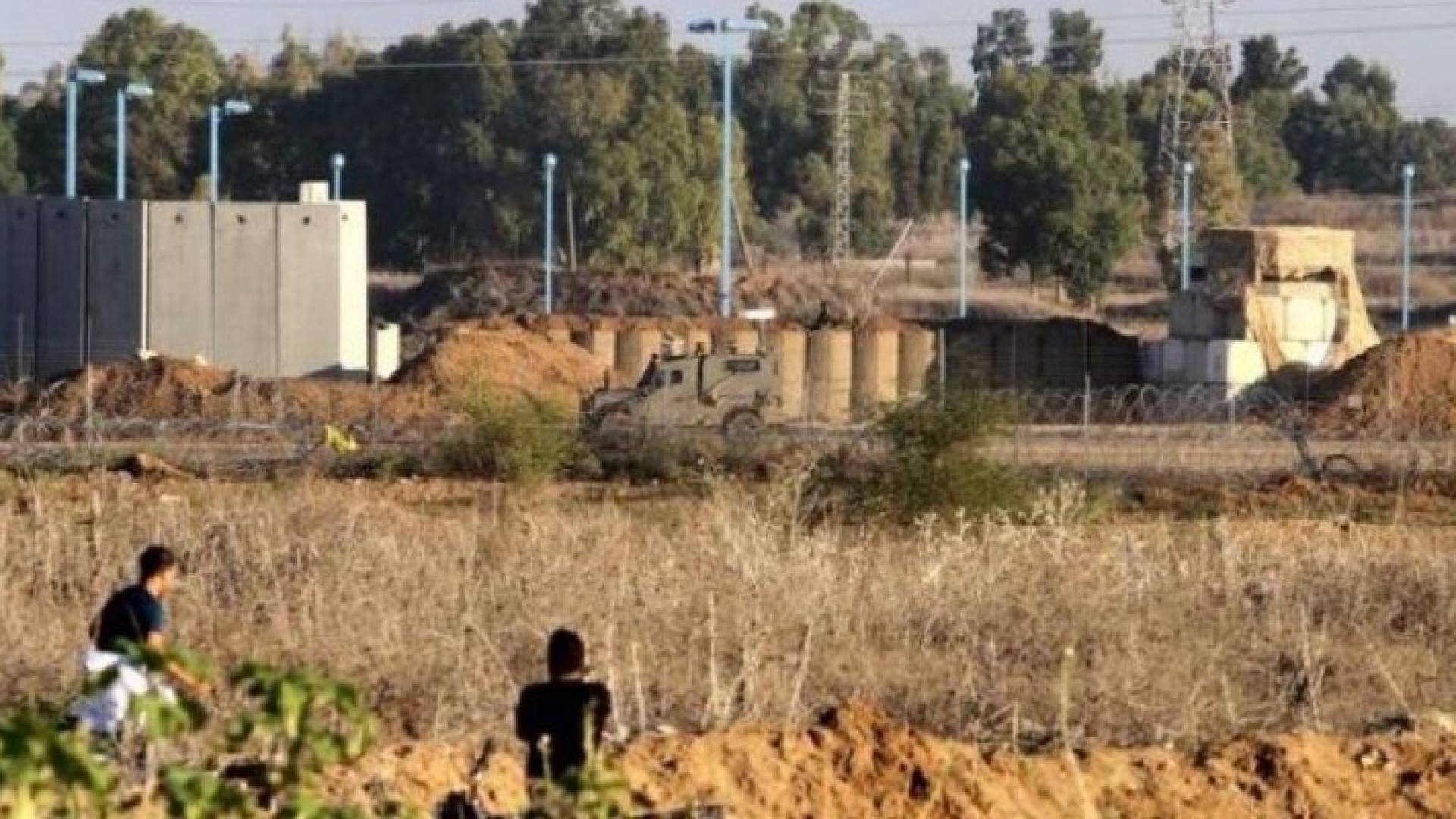 ارشيفية