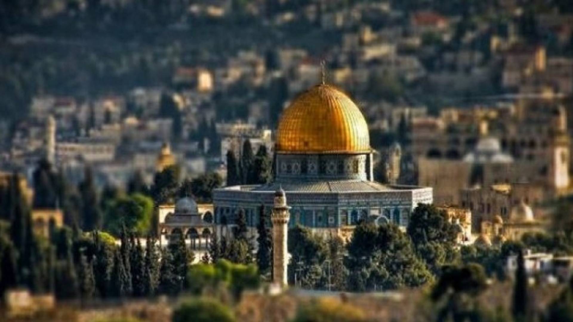 الصورة أرشيفية 