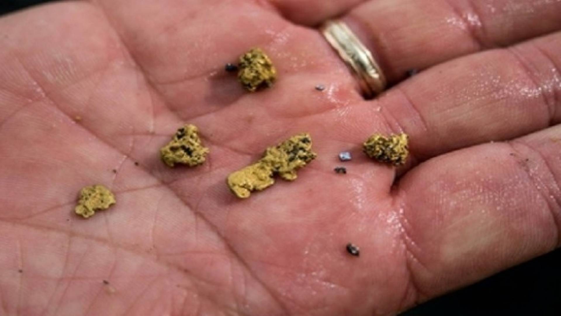 علماء روس يتوصلون لإستخراج كميات من الذهب من الفحم الحجري