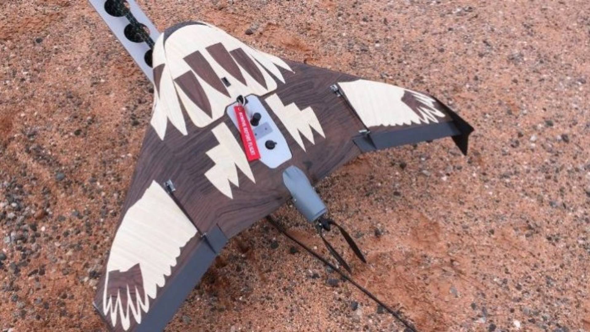 طائرات بلا طيار مموهة تفاديا لغضب النسور