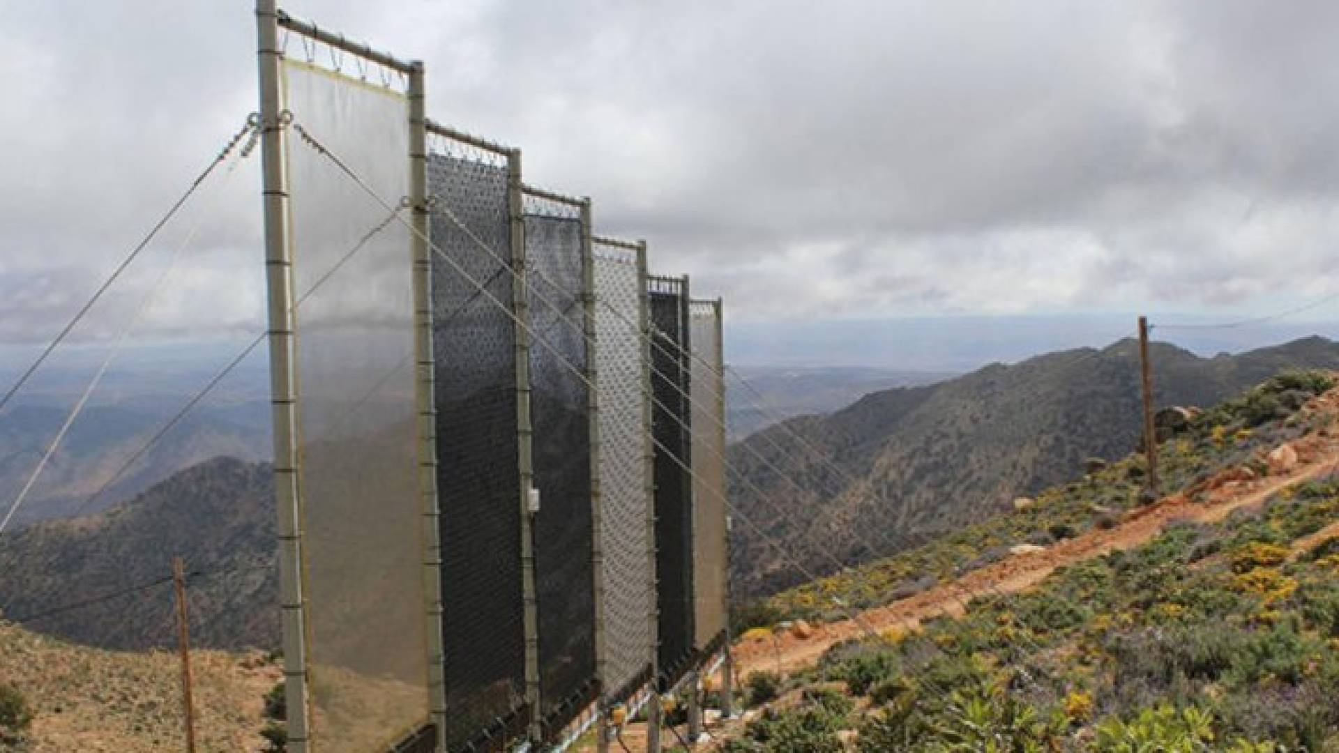 ابتكار يحل مشكلة الجفاف في الصحراء