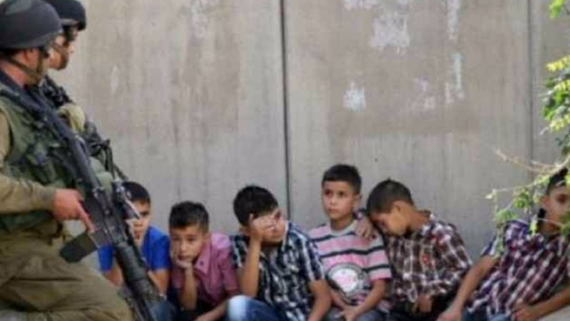 الصورة أرشيفية 