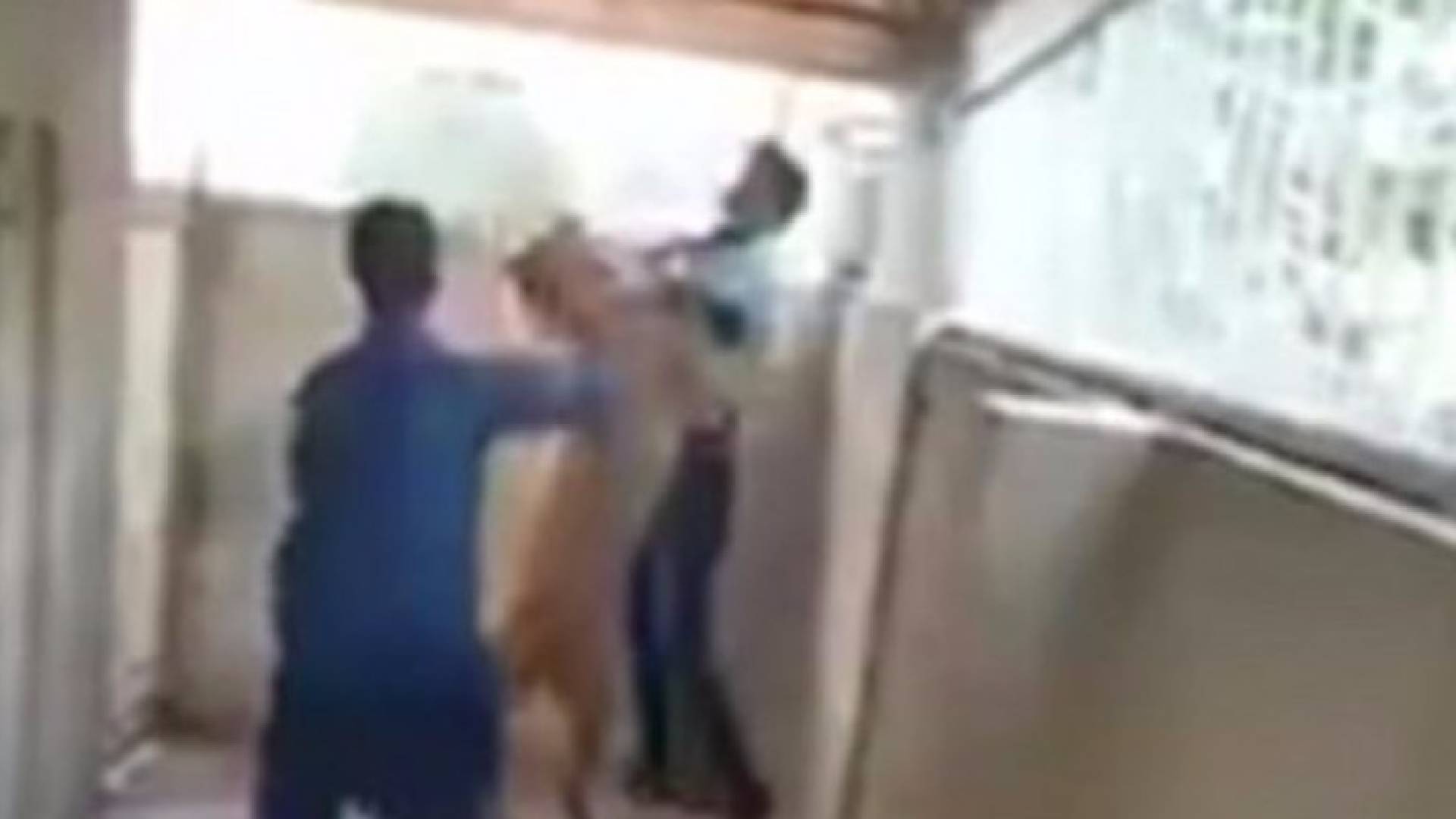 لبؤة شرسة تهاجم شخصا لامسها