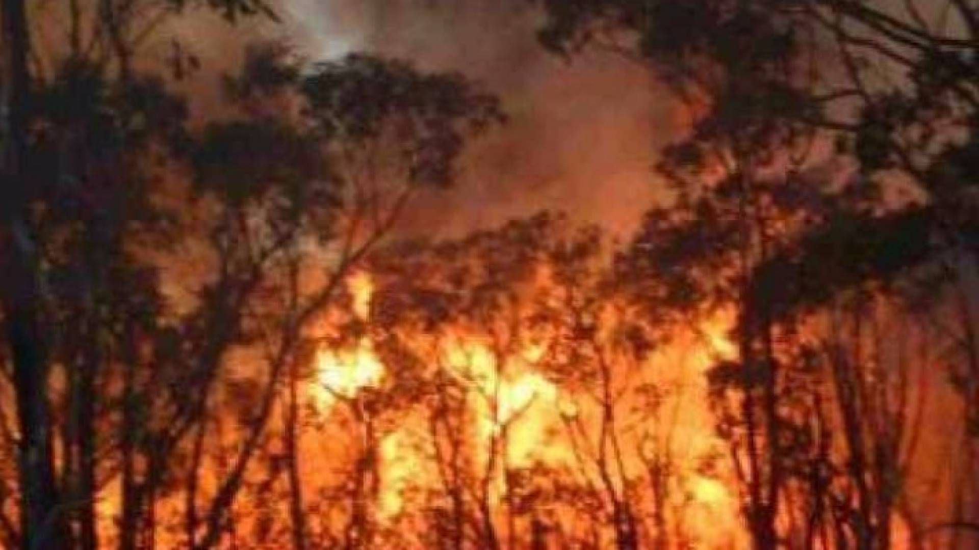 الصورة أرشيفية 