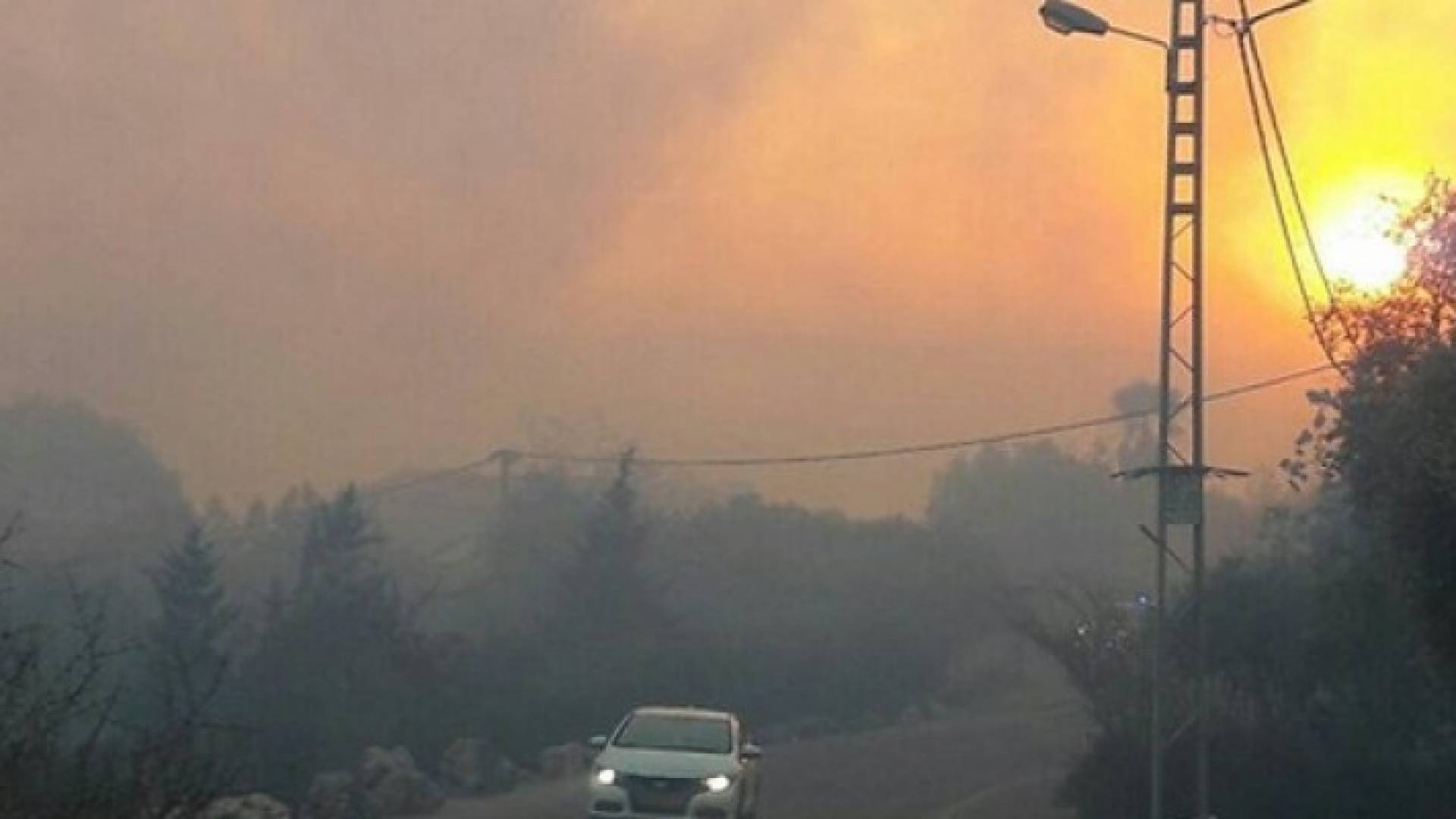 الاحتلال يطلب مساعدة اليونان وايطاليا في إخماد الحرائق